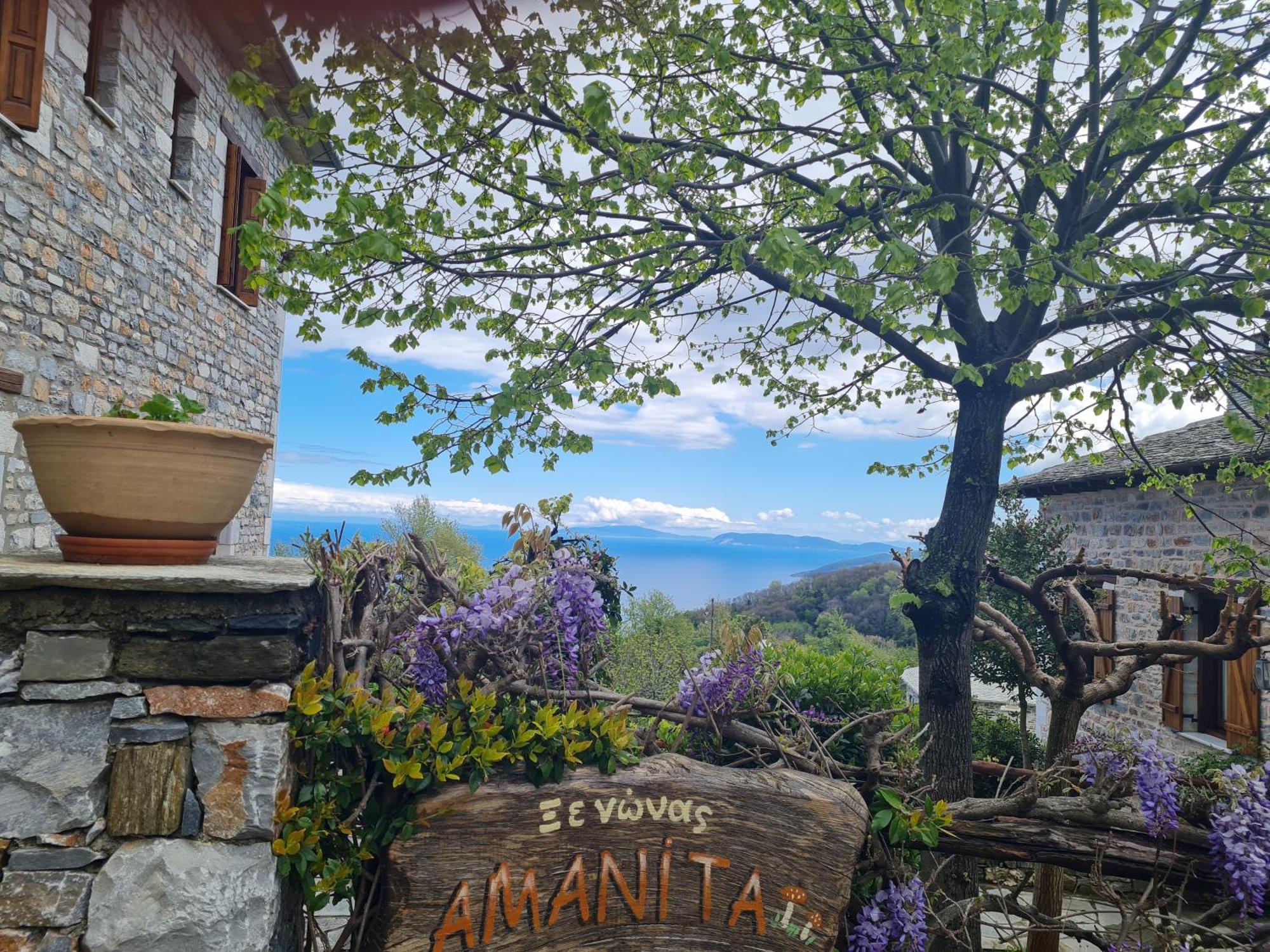 Amanita Boutique 4* Tsagarada