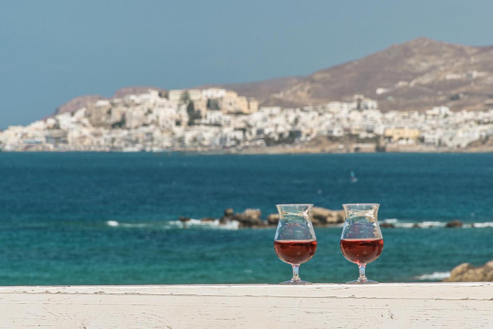 Villa 4 Bedroom Valerie With Private Swimming Pool Stelida (Naxos)