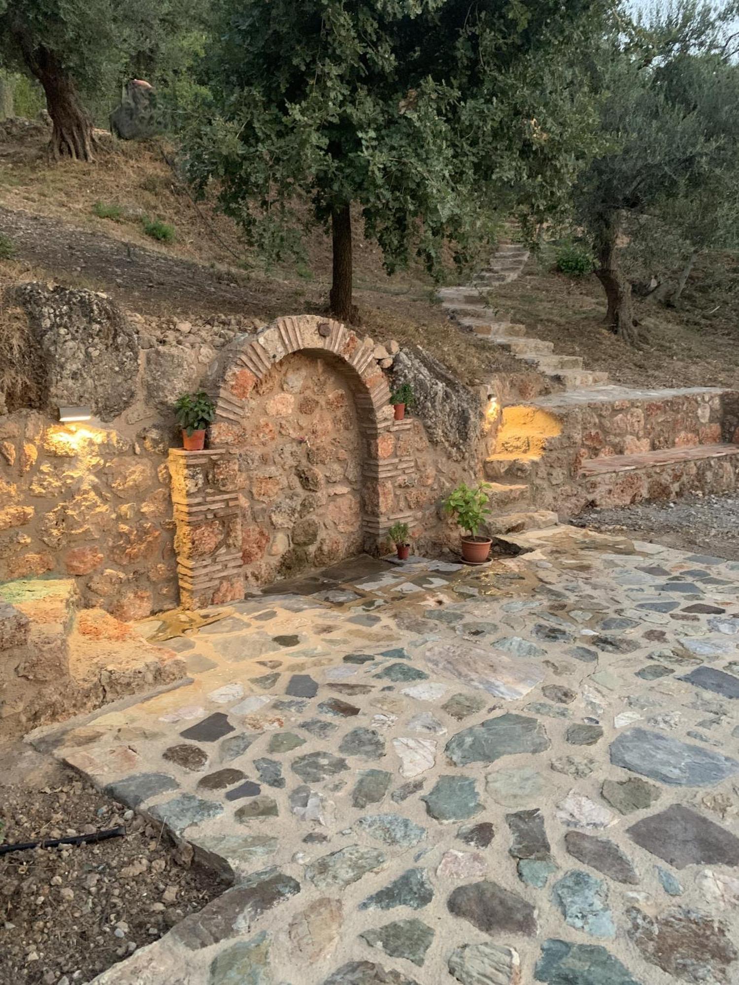 Olive Guest Farm
