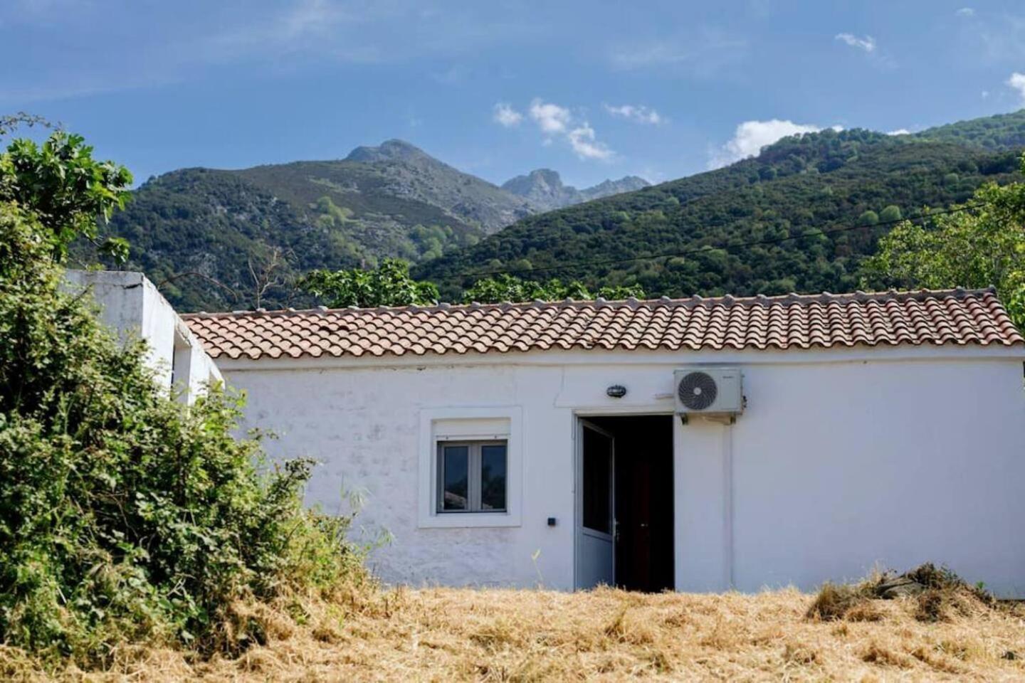 Holiday home Solace Homie *