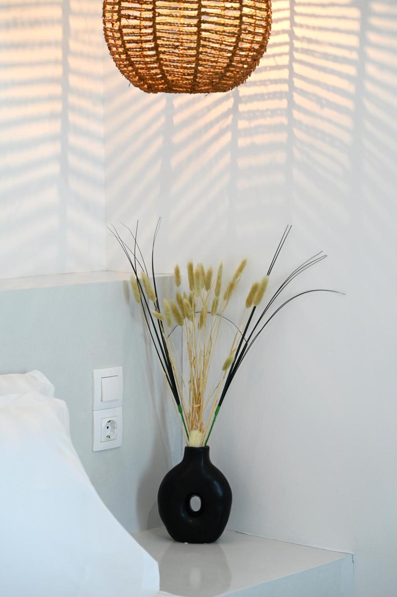 Aparthotel Beachfront Cycladic Irene Boutique Kanala