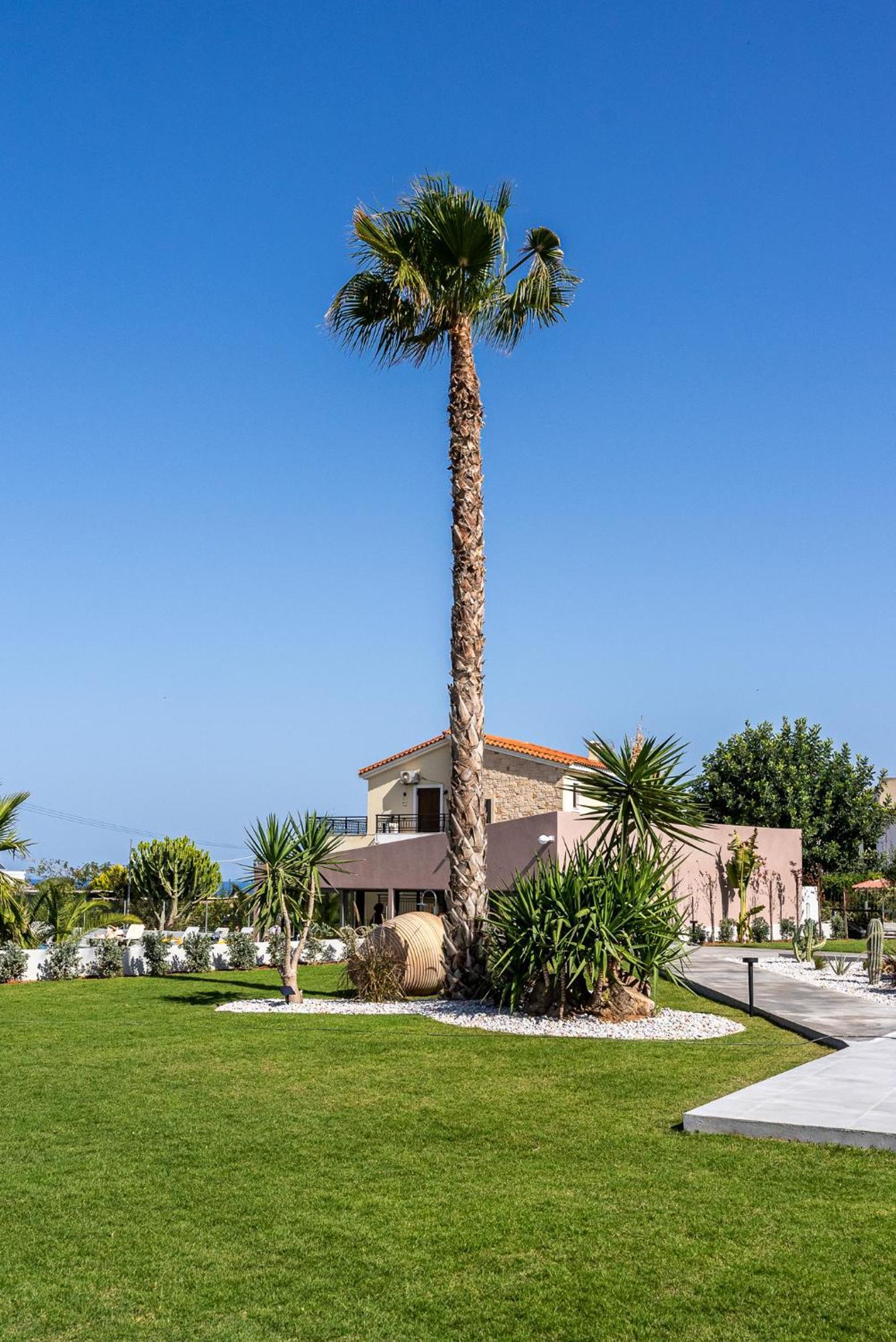 Aparthotel La Reve Luxury *