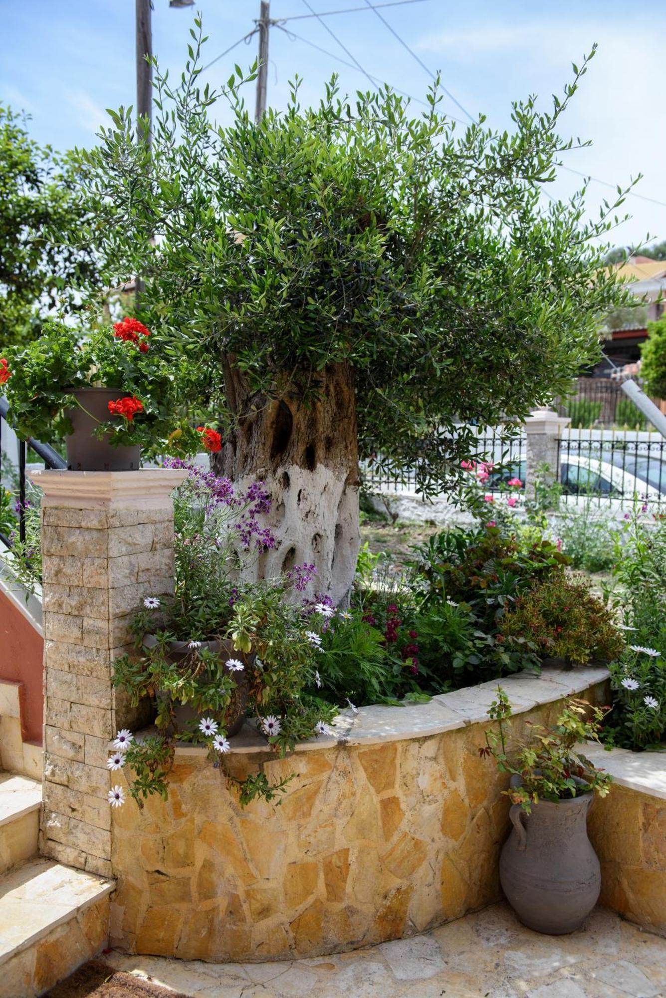 Holiday home Seaview - Calmare Petriti (Corfu)