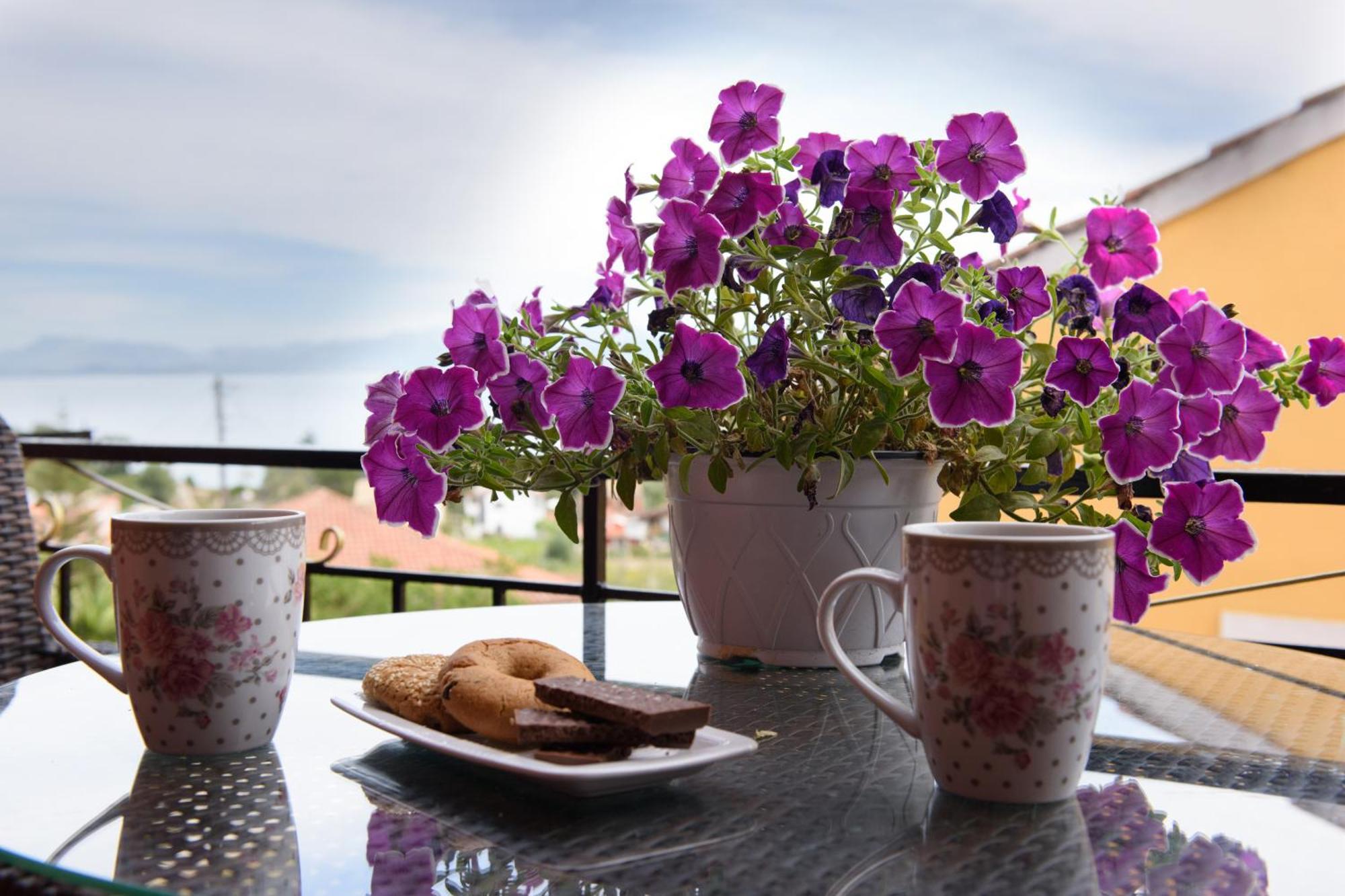 Holiday home Seaview - Calmare