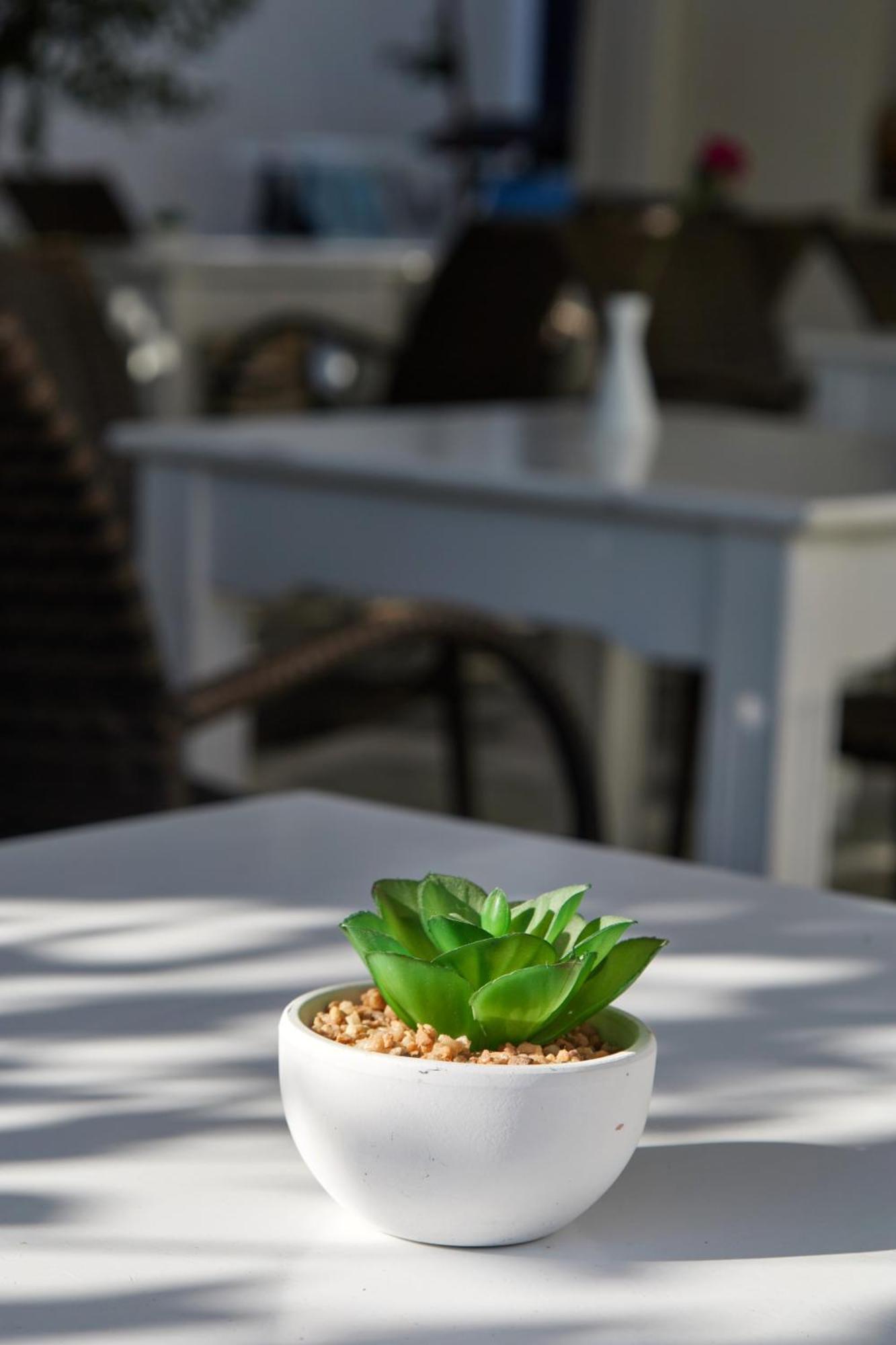 Guest house Theologos Place Antiparos