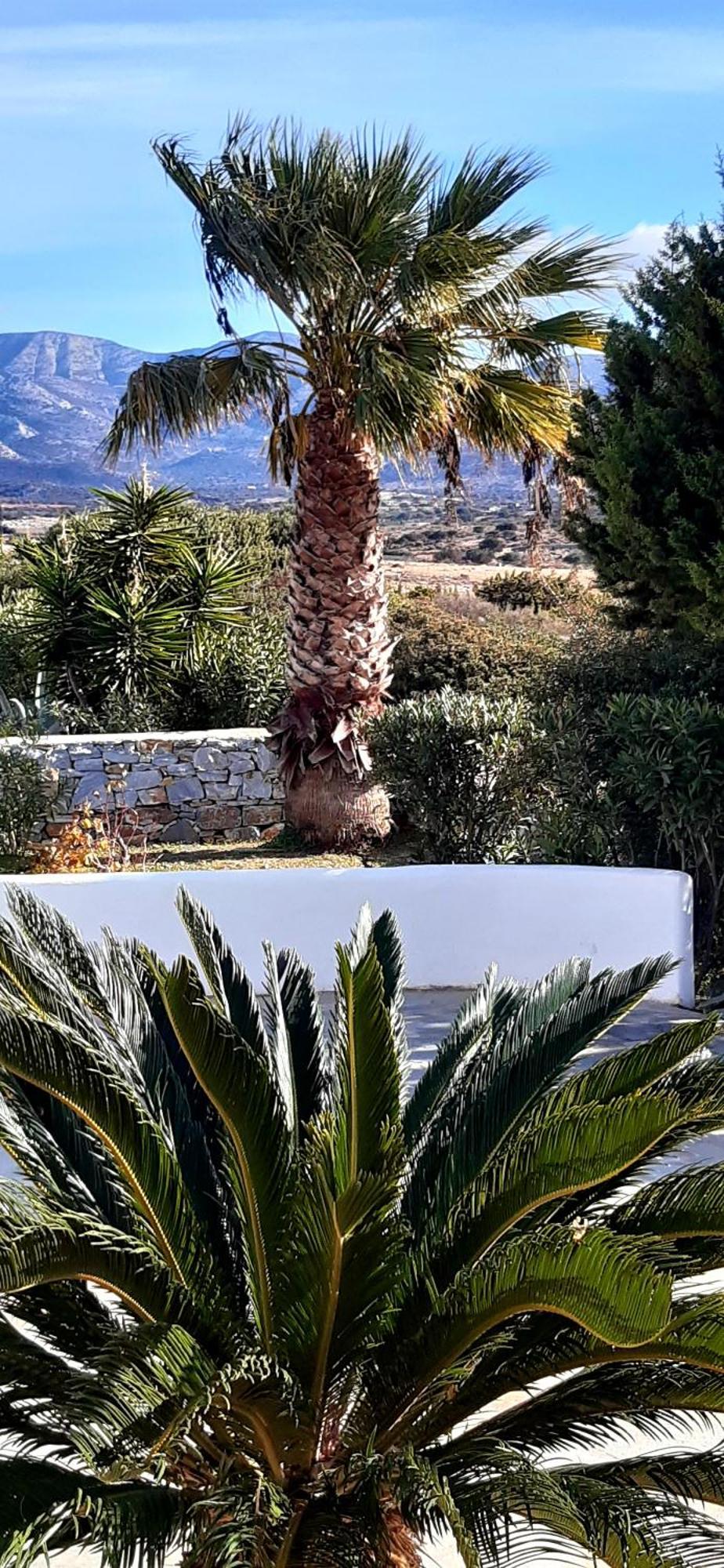 Haus Asterakia Apartment Aliko Beach