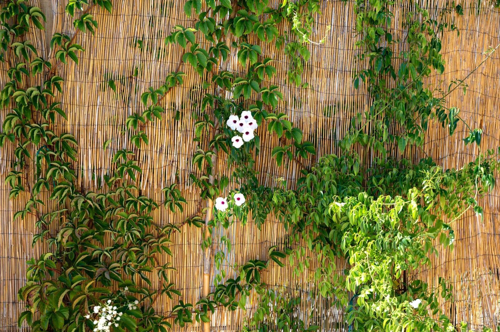 Villa Antreas Mentoros *