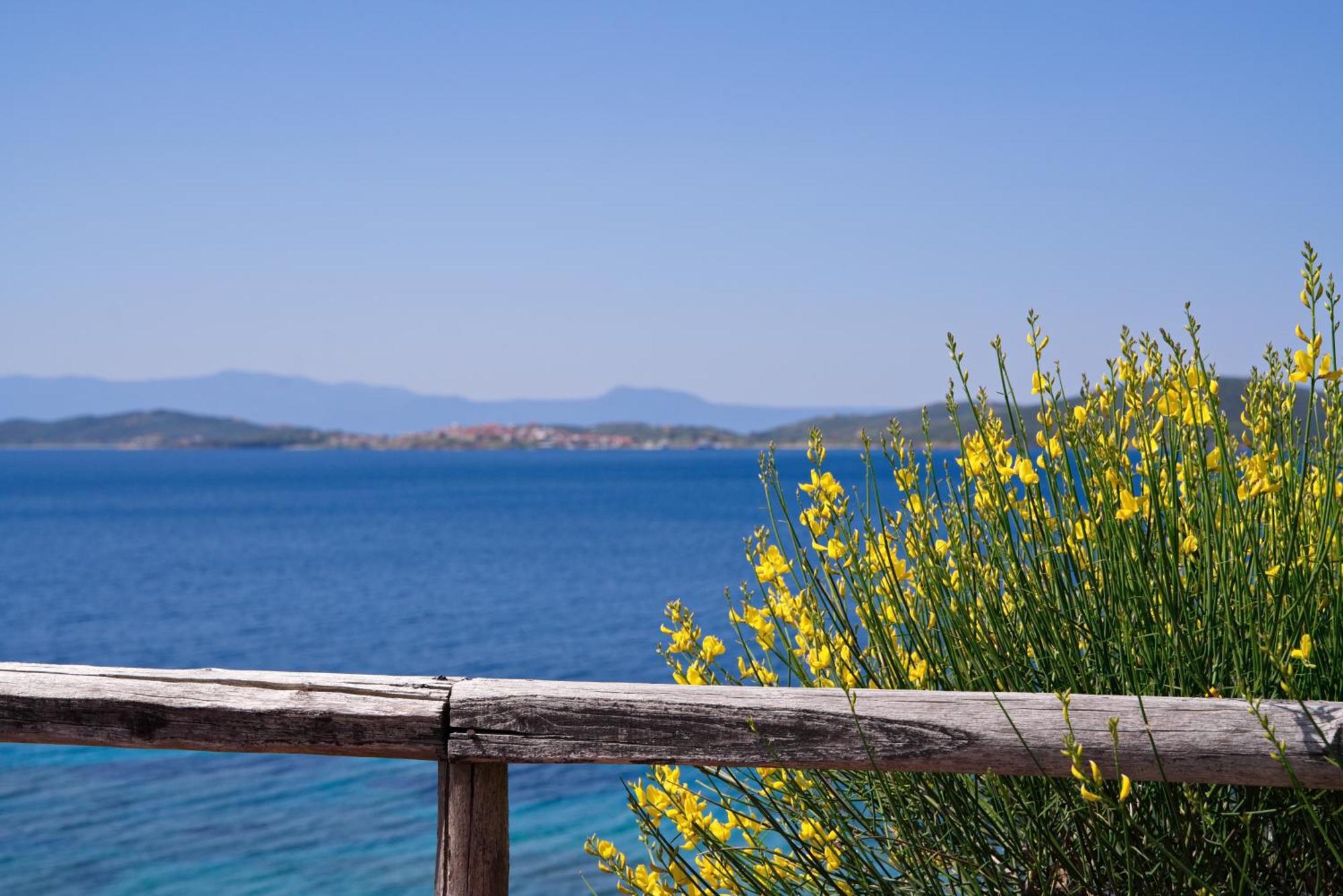 Beachfront With Huge Garden, 3br, Halkidiki Holiday home *
