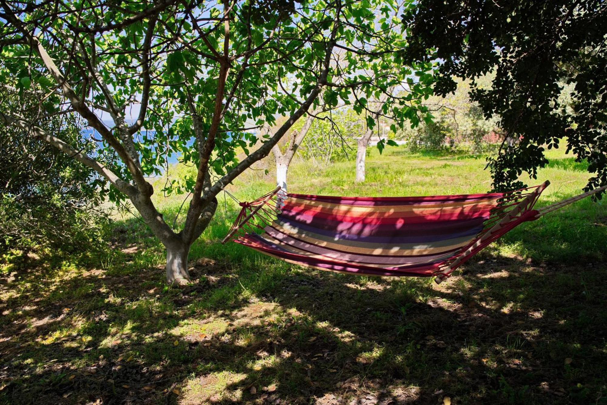 Beachfront With Huge Garden, 3br, Halkidiki * Nea Roda