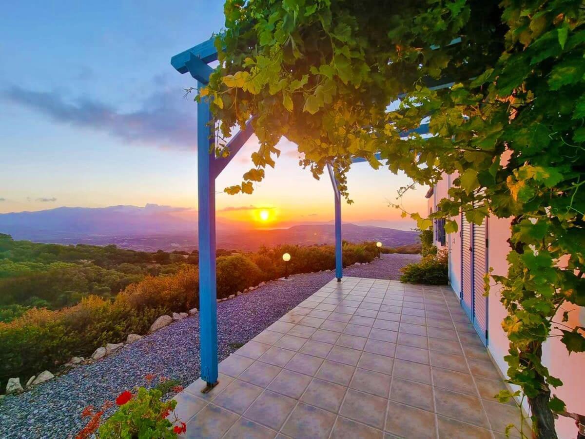 Bella - Your Ideal Oriental Greek Adventure