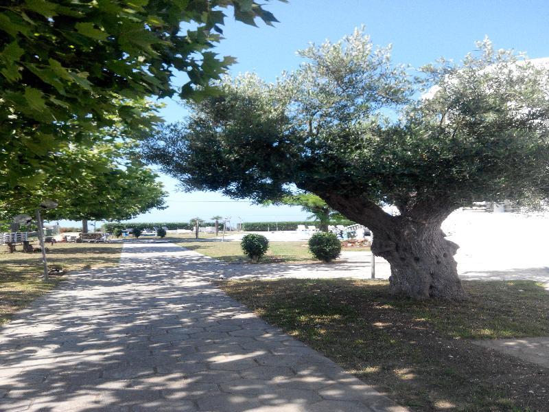 Skion Palace Hotel-bungalows & Boutique Hotel Nea Skioni