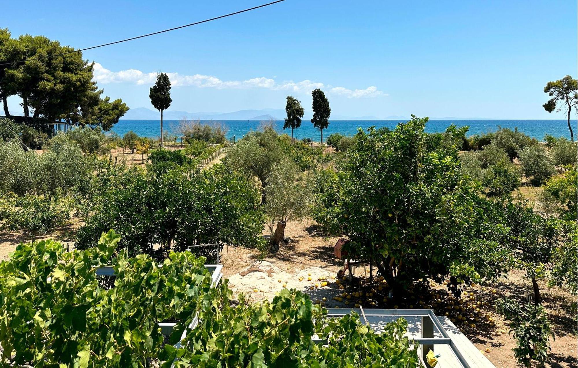 2 Bedroom Stunning In Astros Peloponnese * Koutroufa