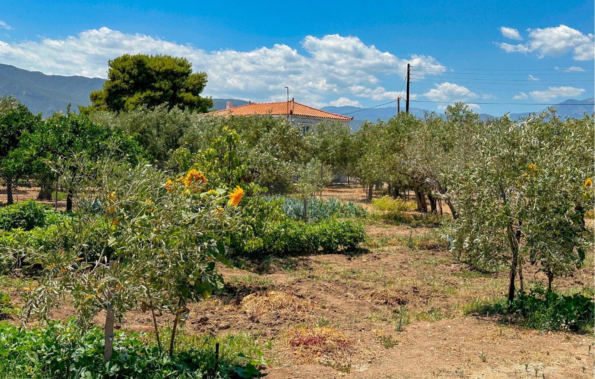 2 Bedroom Stunning In Astros Peloponnese * Koutroufa