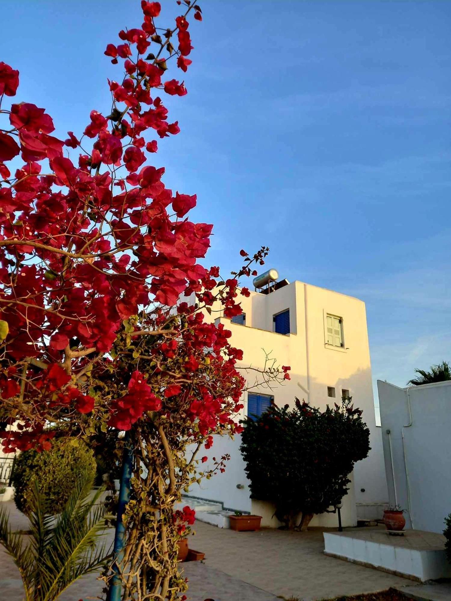 Sophi's L & * Agia Anna (Naxos)