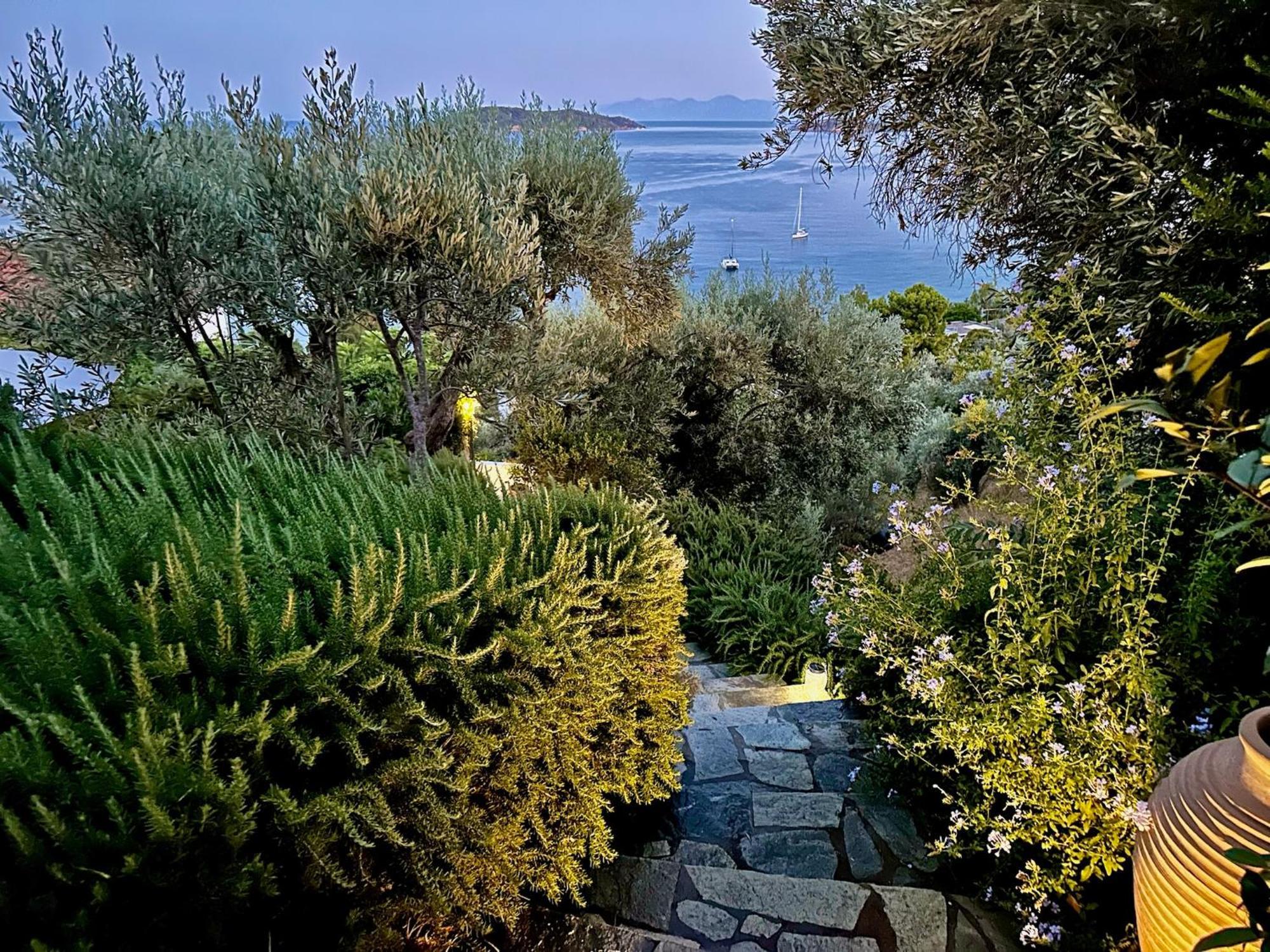 Athena Guest house *