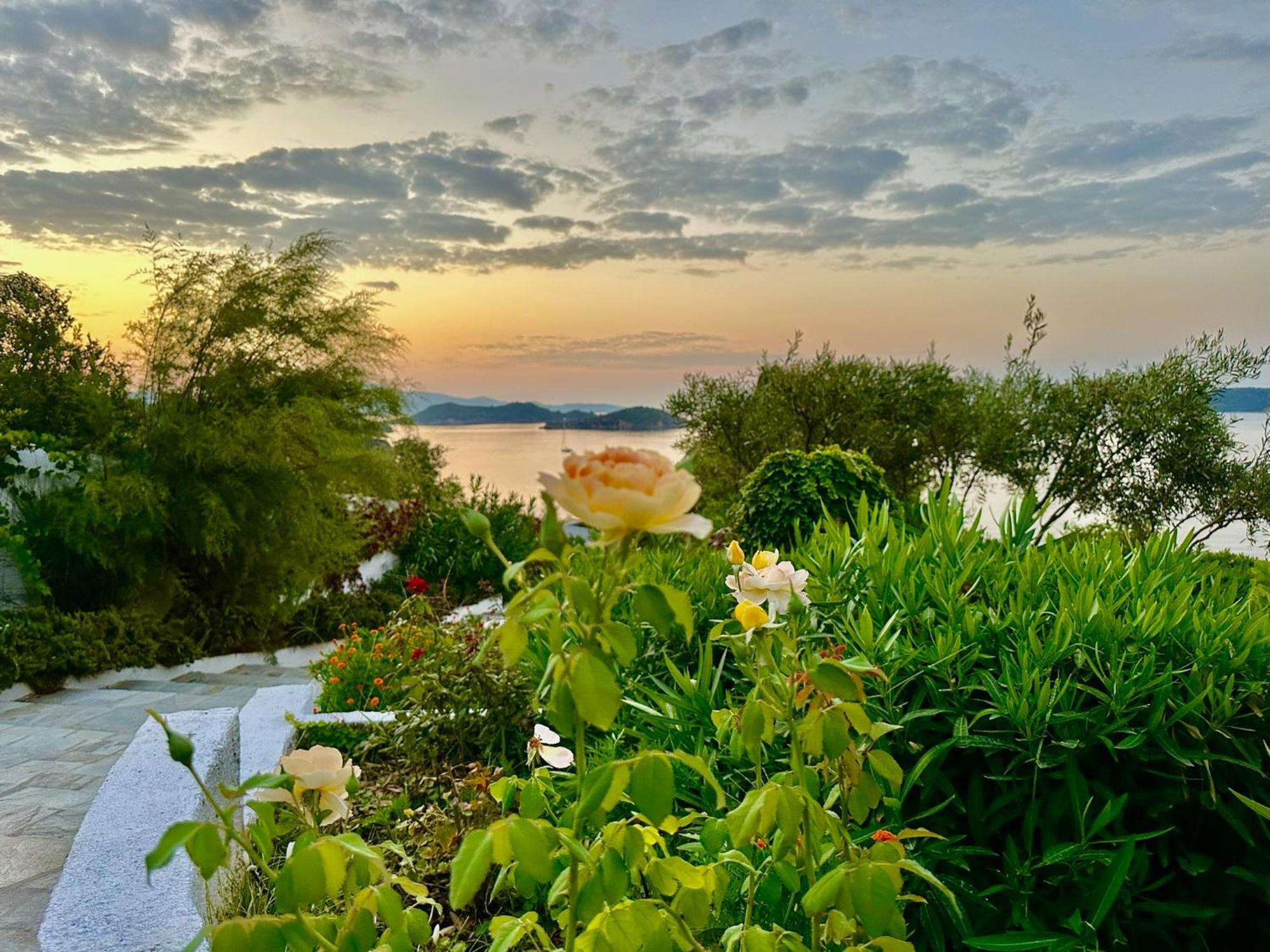 Athena Guest house Megali Ammos (Skiathos)