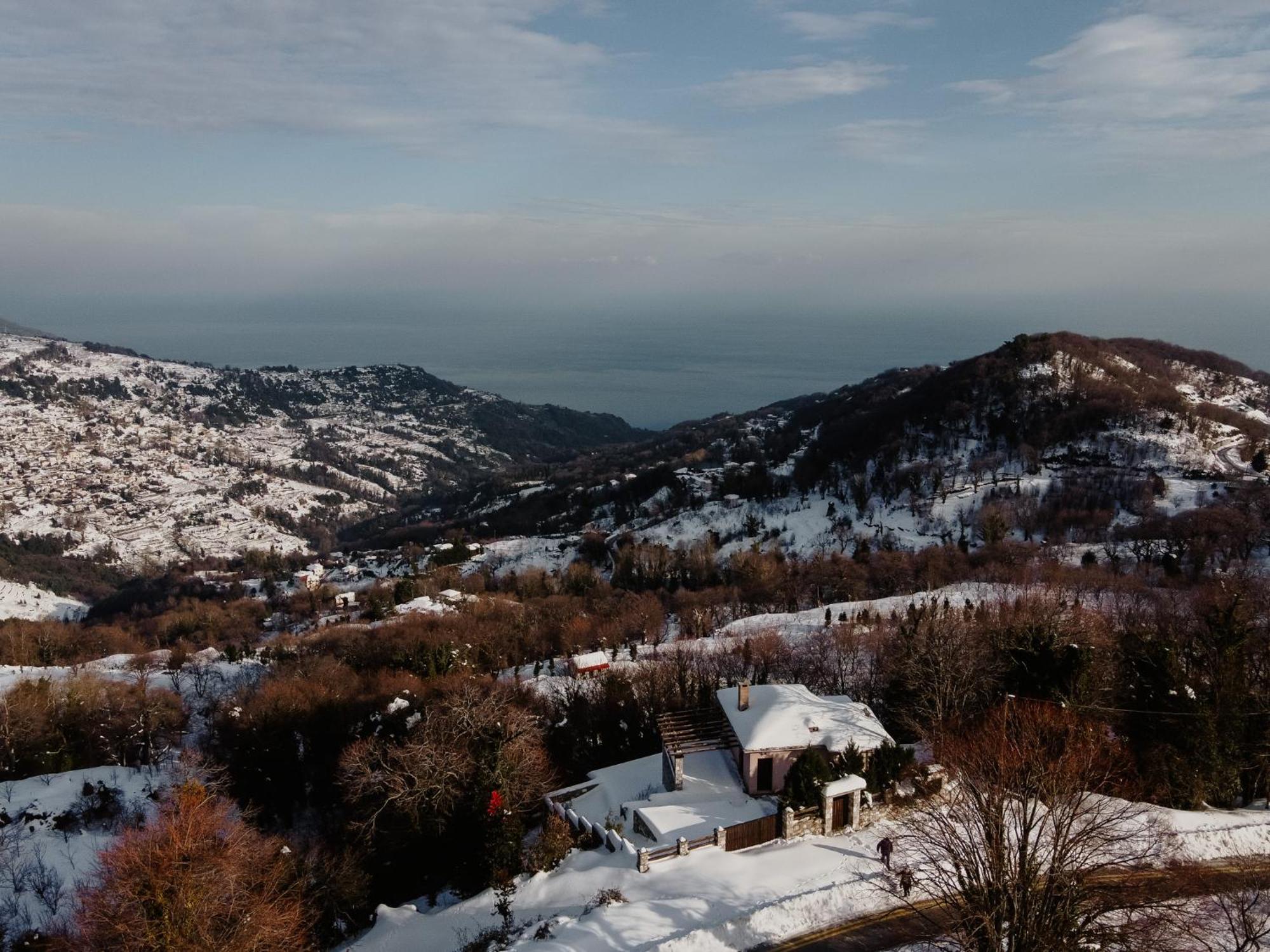 A Dream Deferred Pelion *