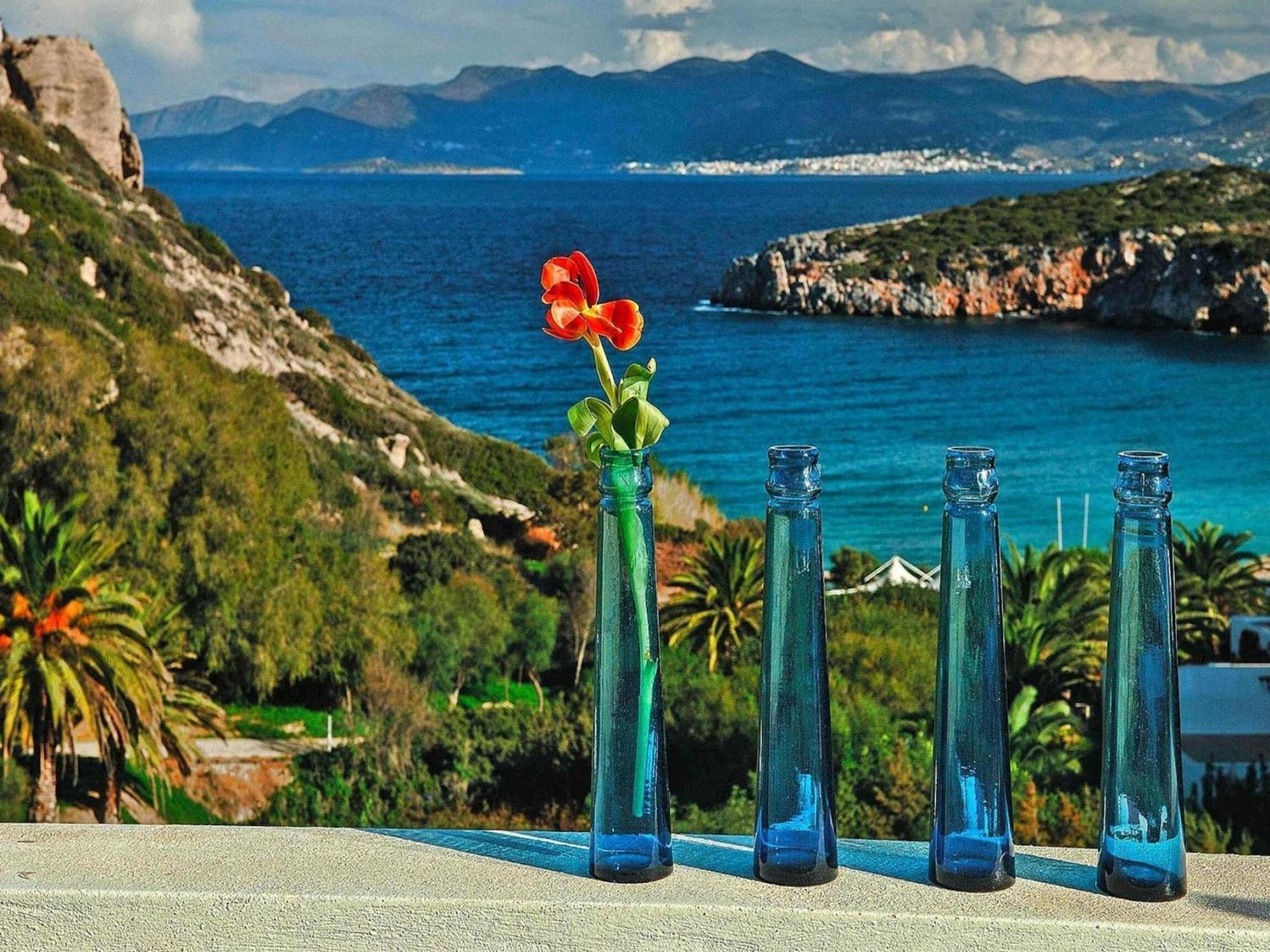 Collection With Terrace Villa