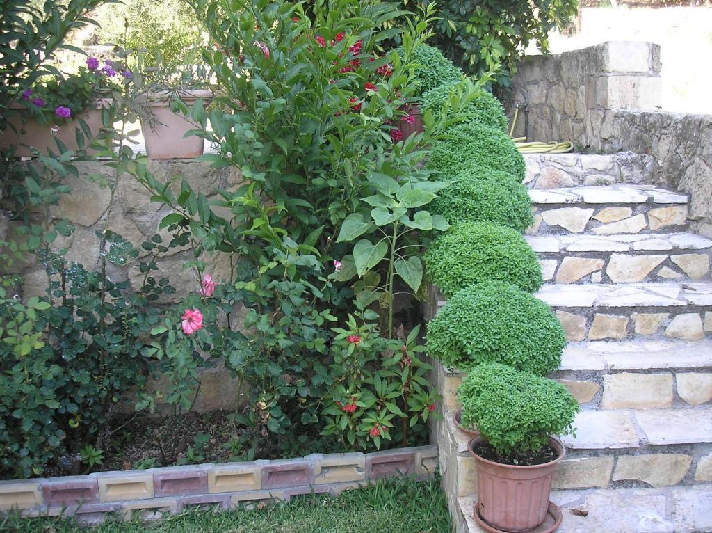 Stefanos 2*