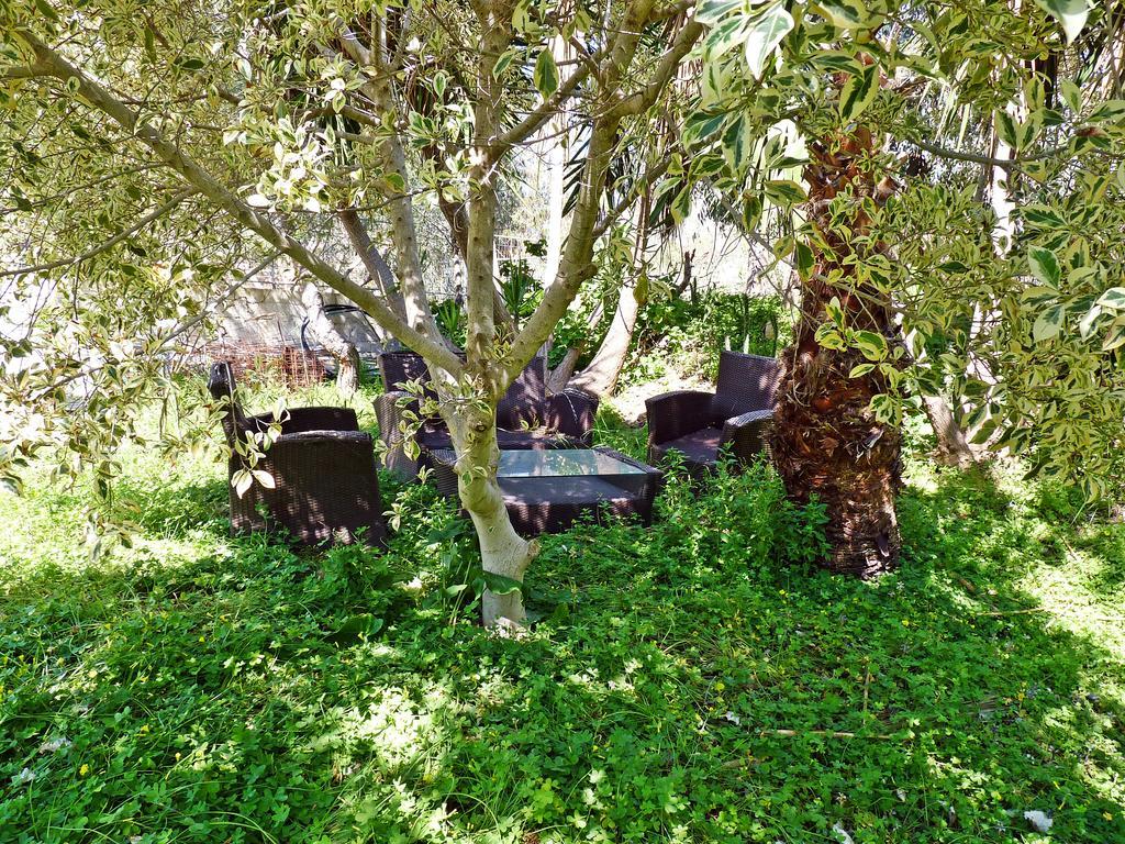 Apartment L' Odyssee Agia Fotia (Sitia)
