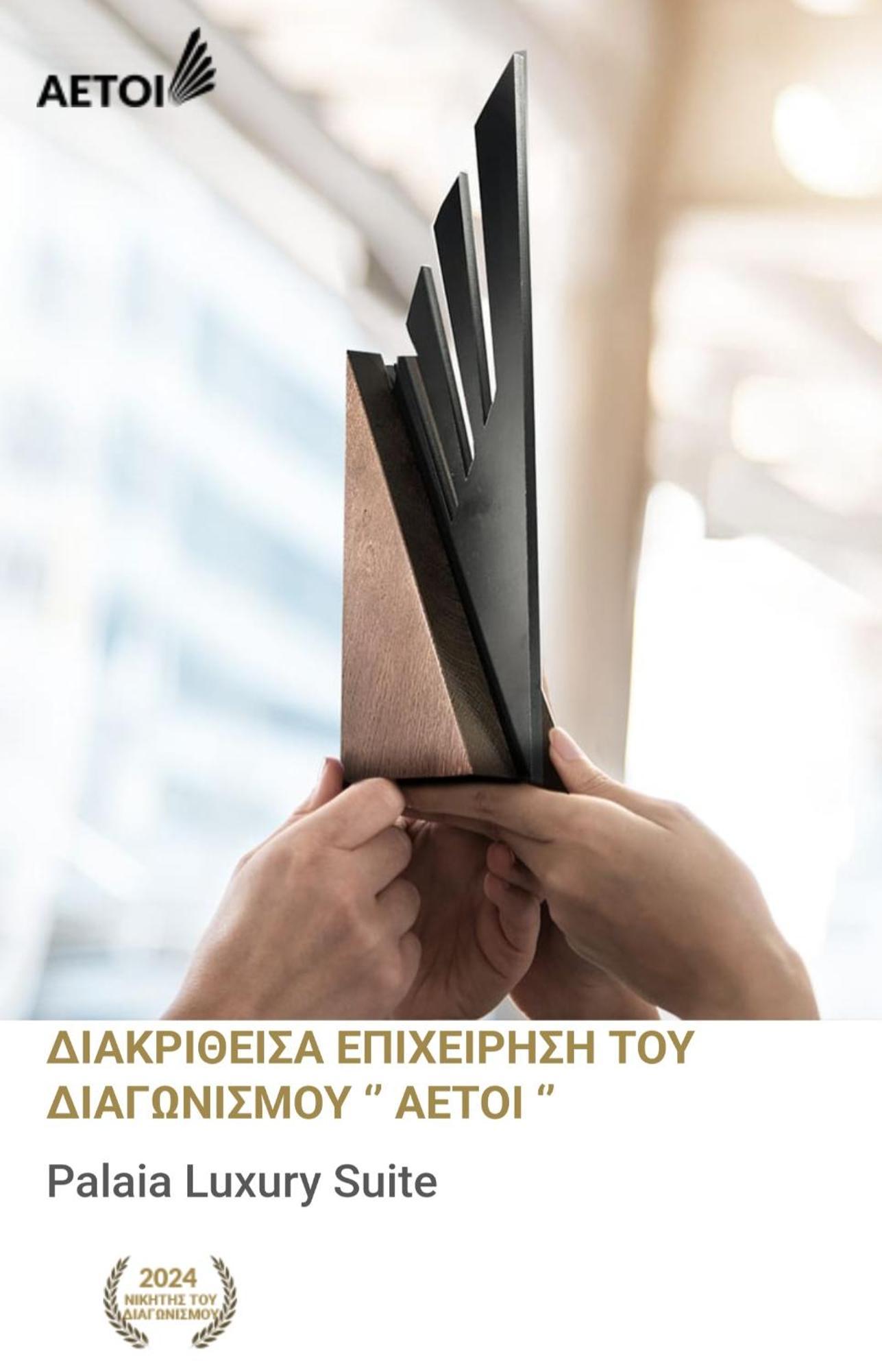 Palaia Luxury Apartment Volos