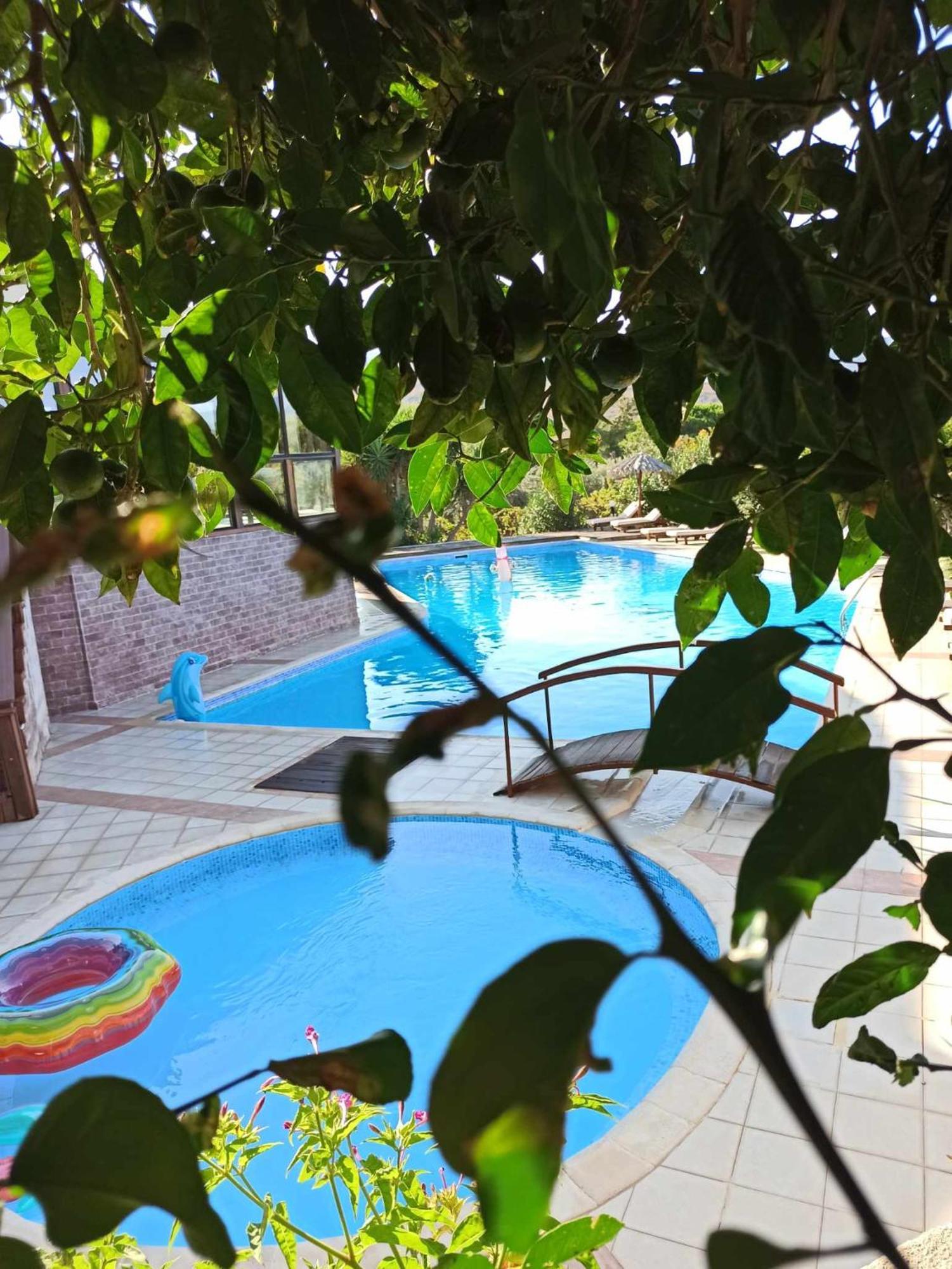 Orfeas Molivos Aparthotel
