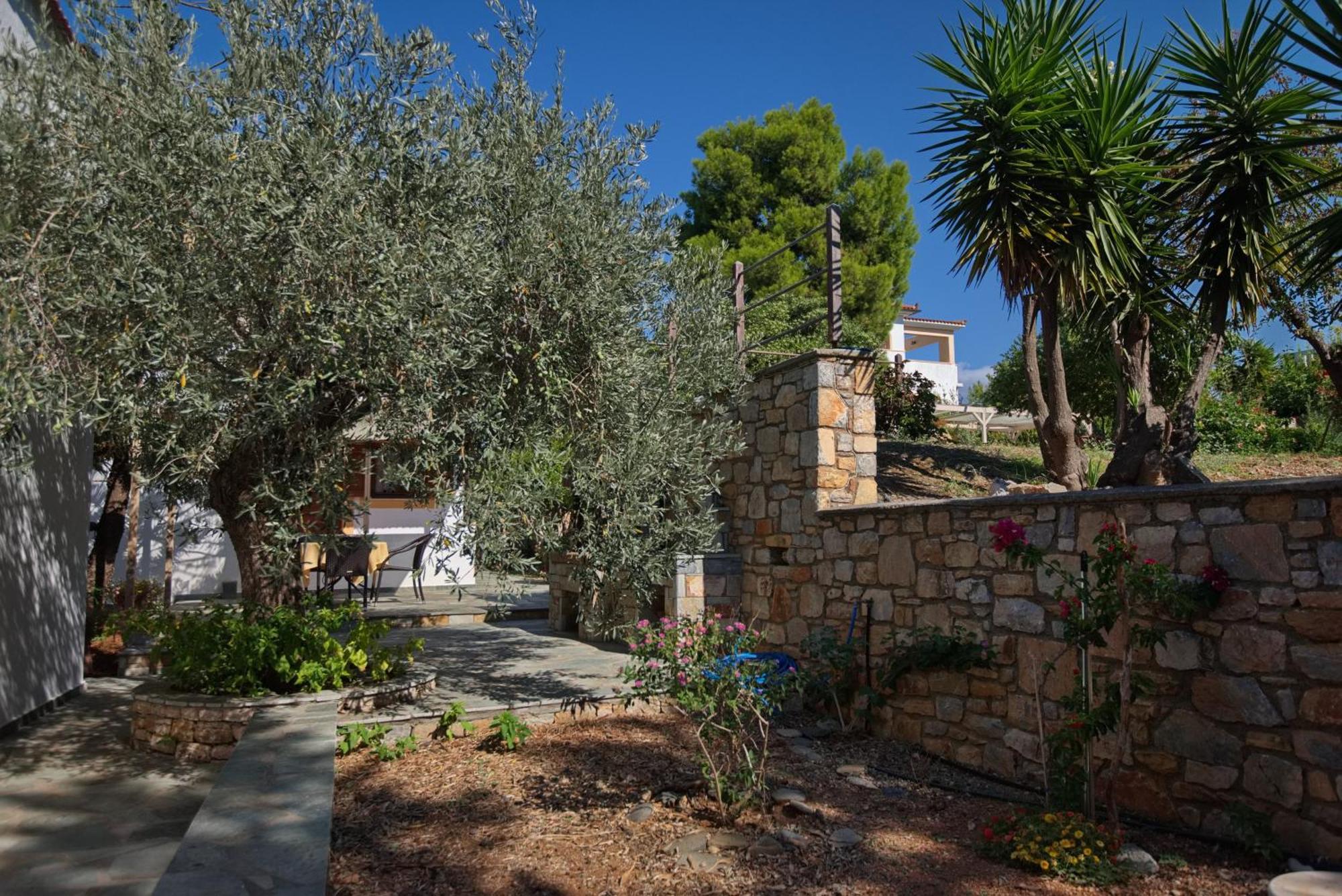 Villa Kamelia Votsi (Alonnisos)