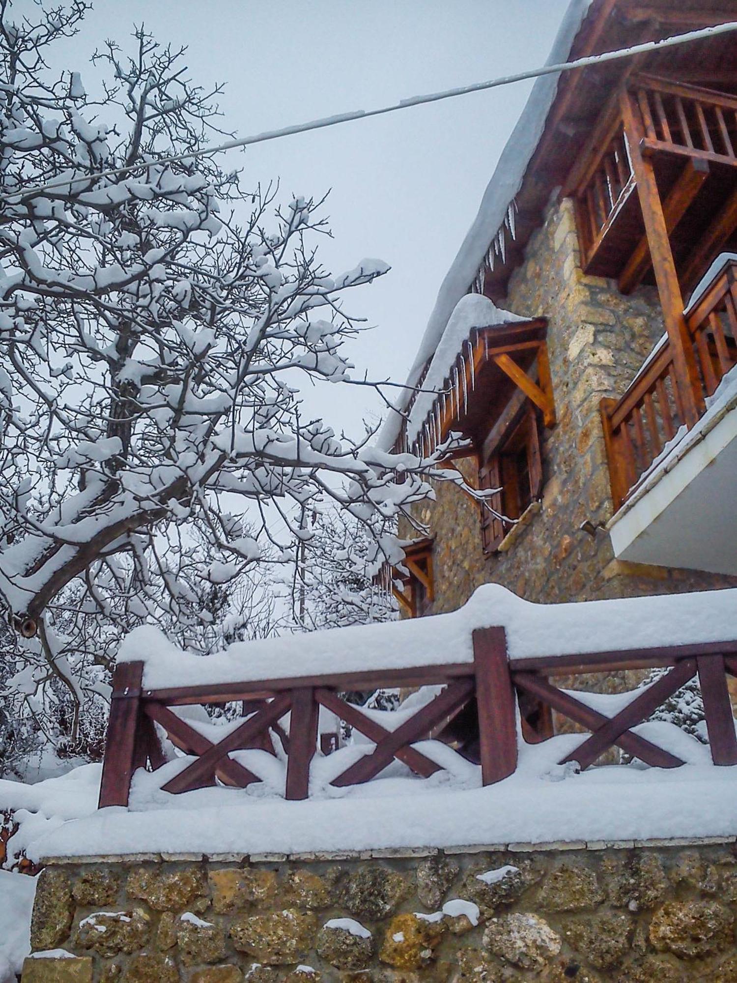 Guest house Petrino