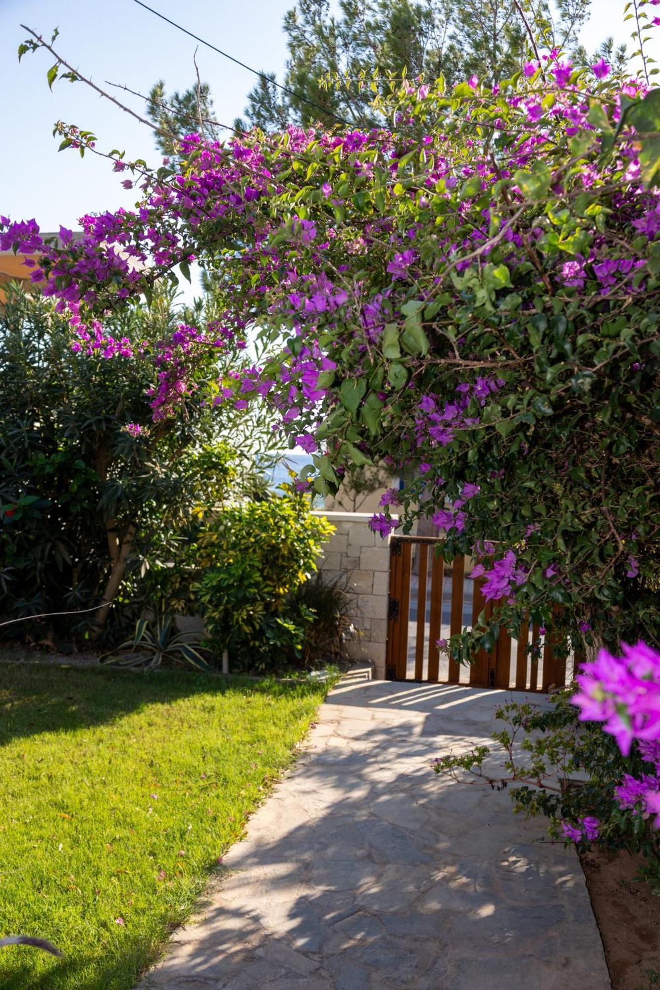 Aparthotel Okeanis Mystique South