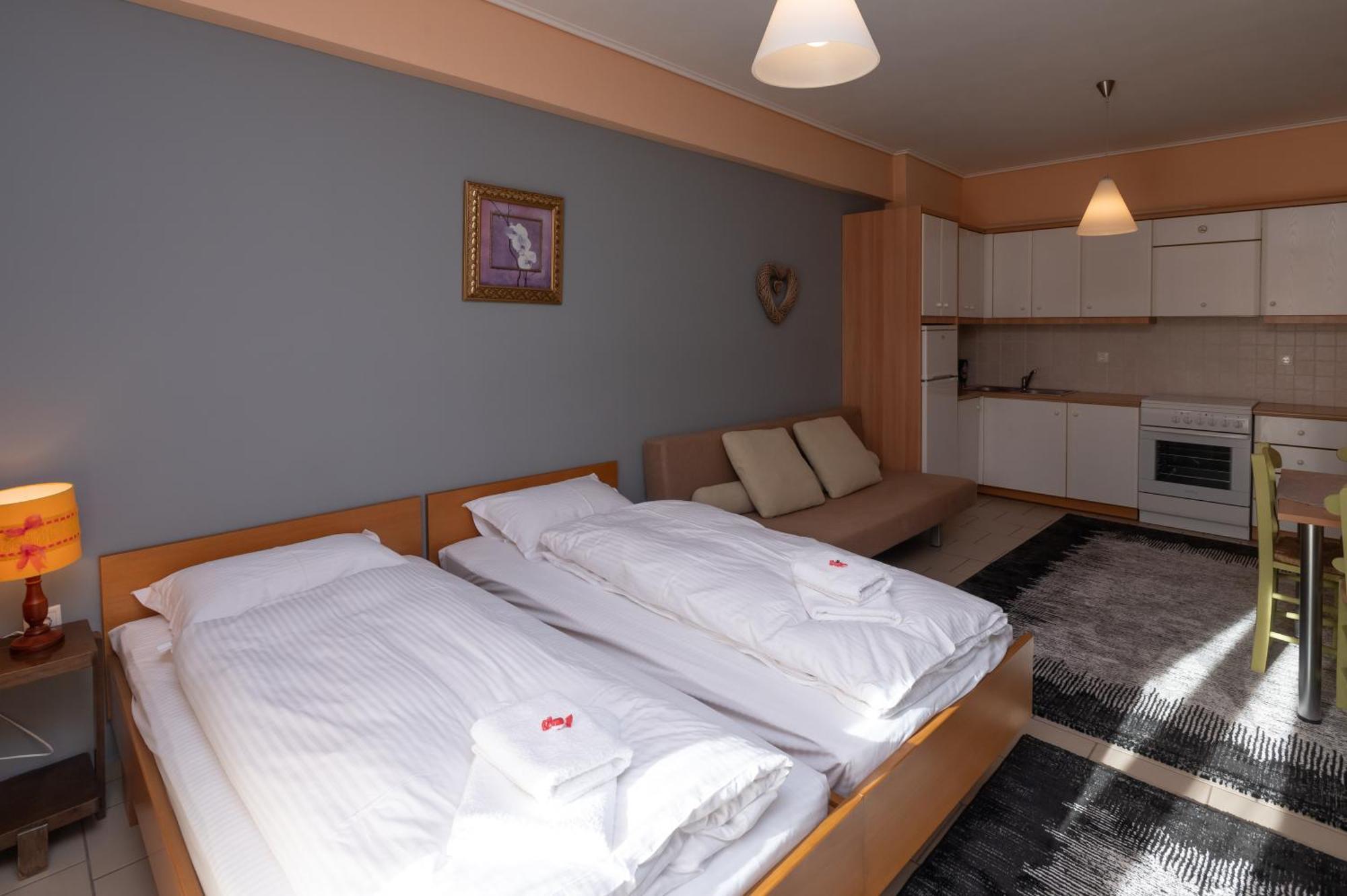 Aparthotel Xenonas Drimos Karpenisi