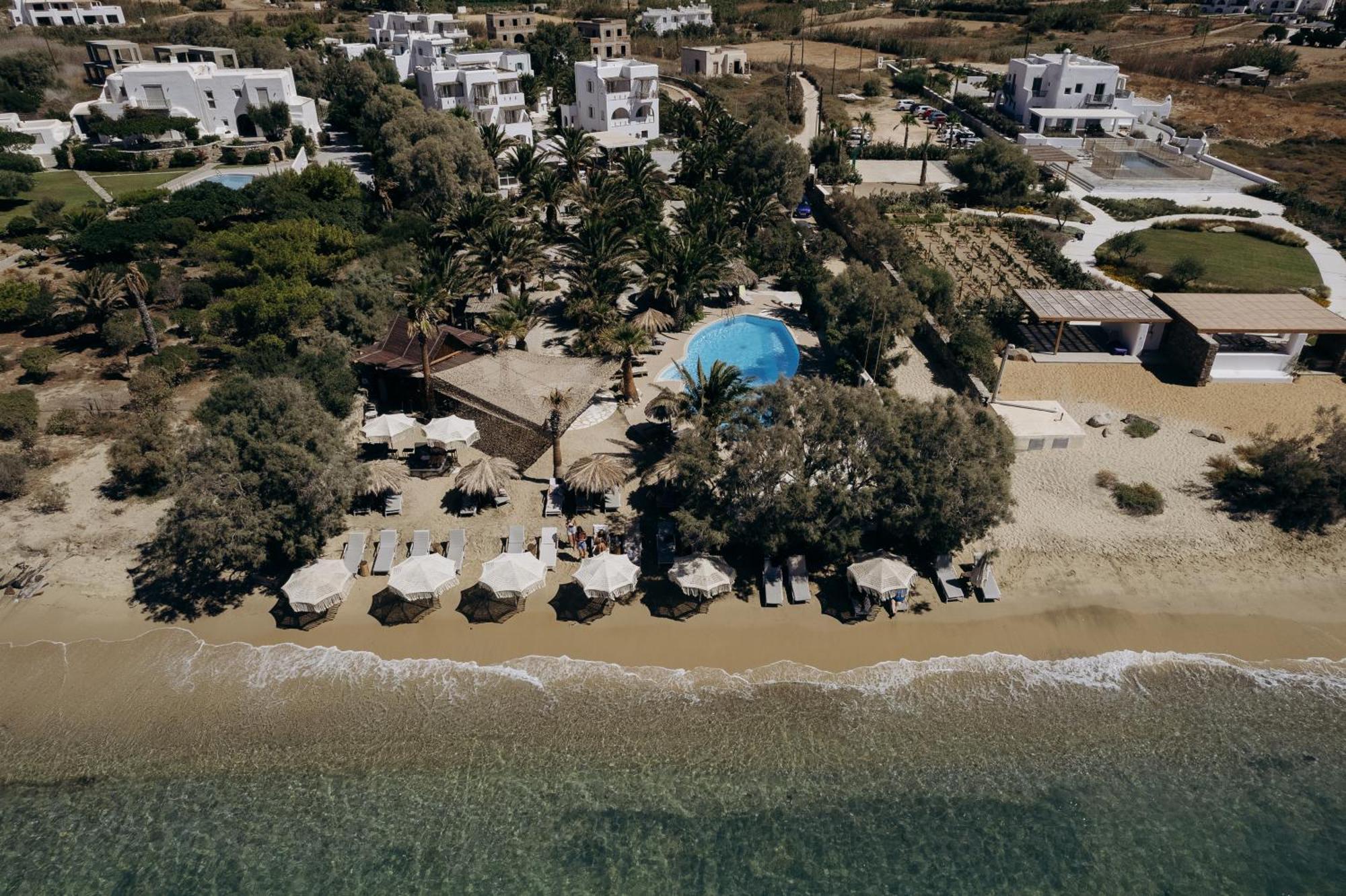 Medusa & 4* Plaka (Naxos)