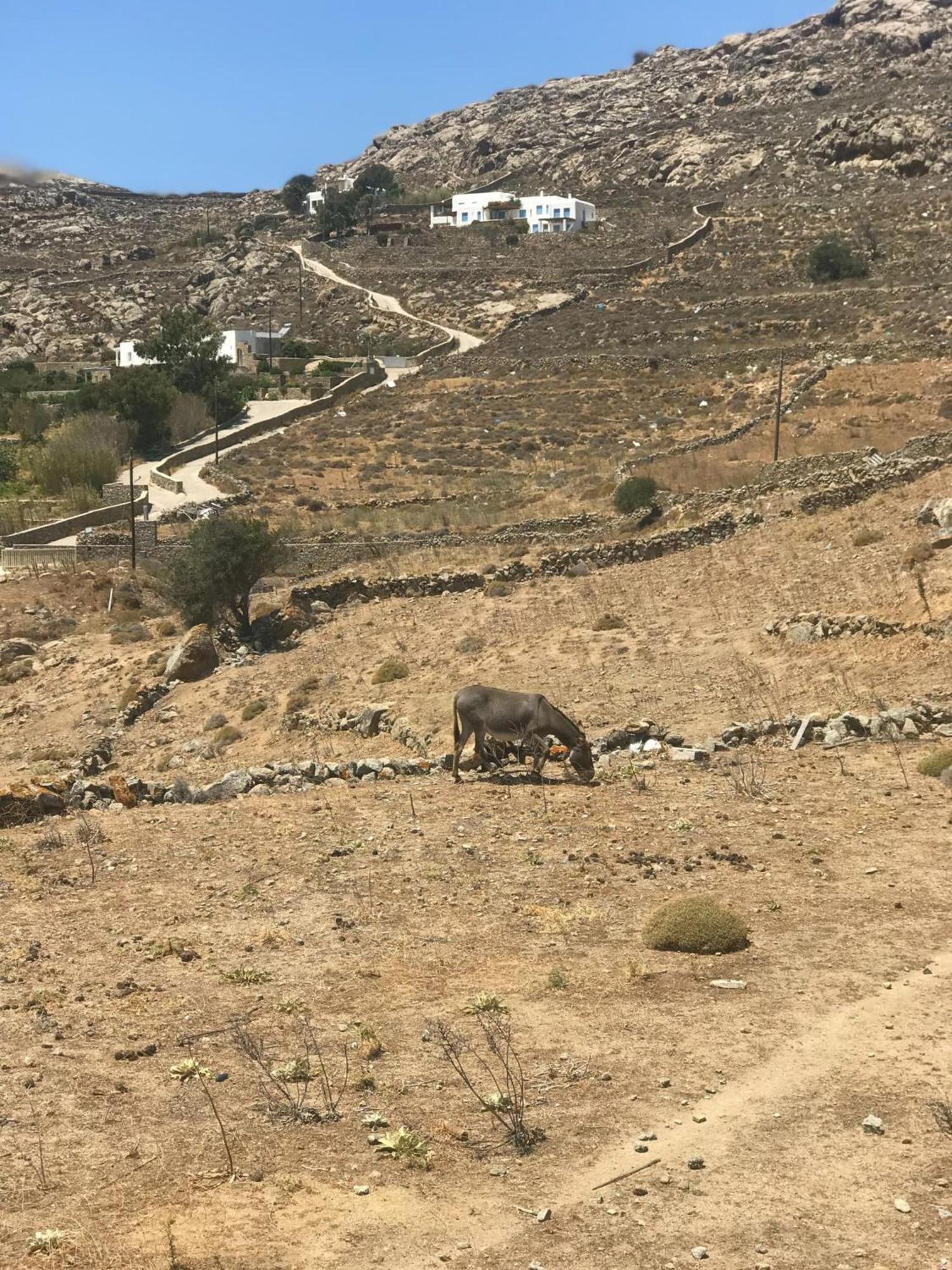 Naira Family Mykonos Holiday home