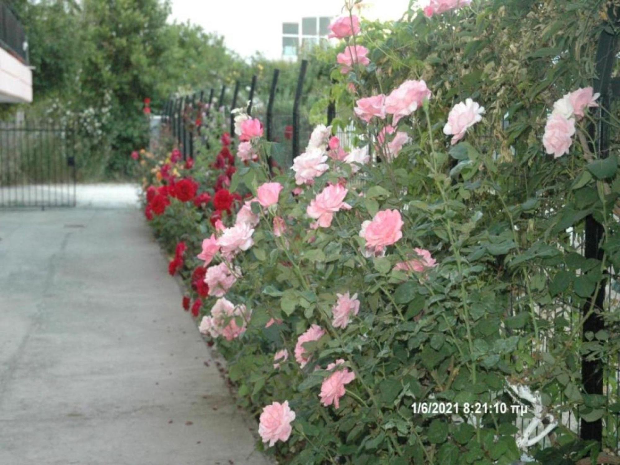Guest house In - Independent For 2 People Patras