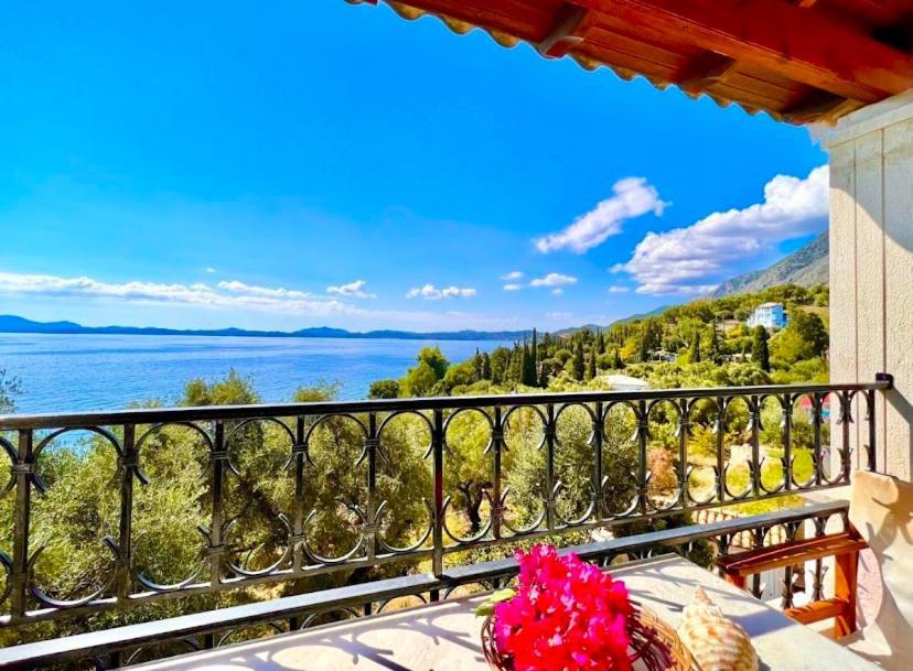 Aphrodite & With Swimming Pool Apartment Corfu (city)