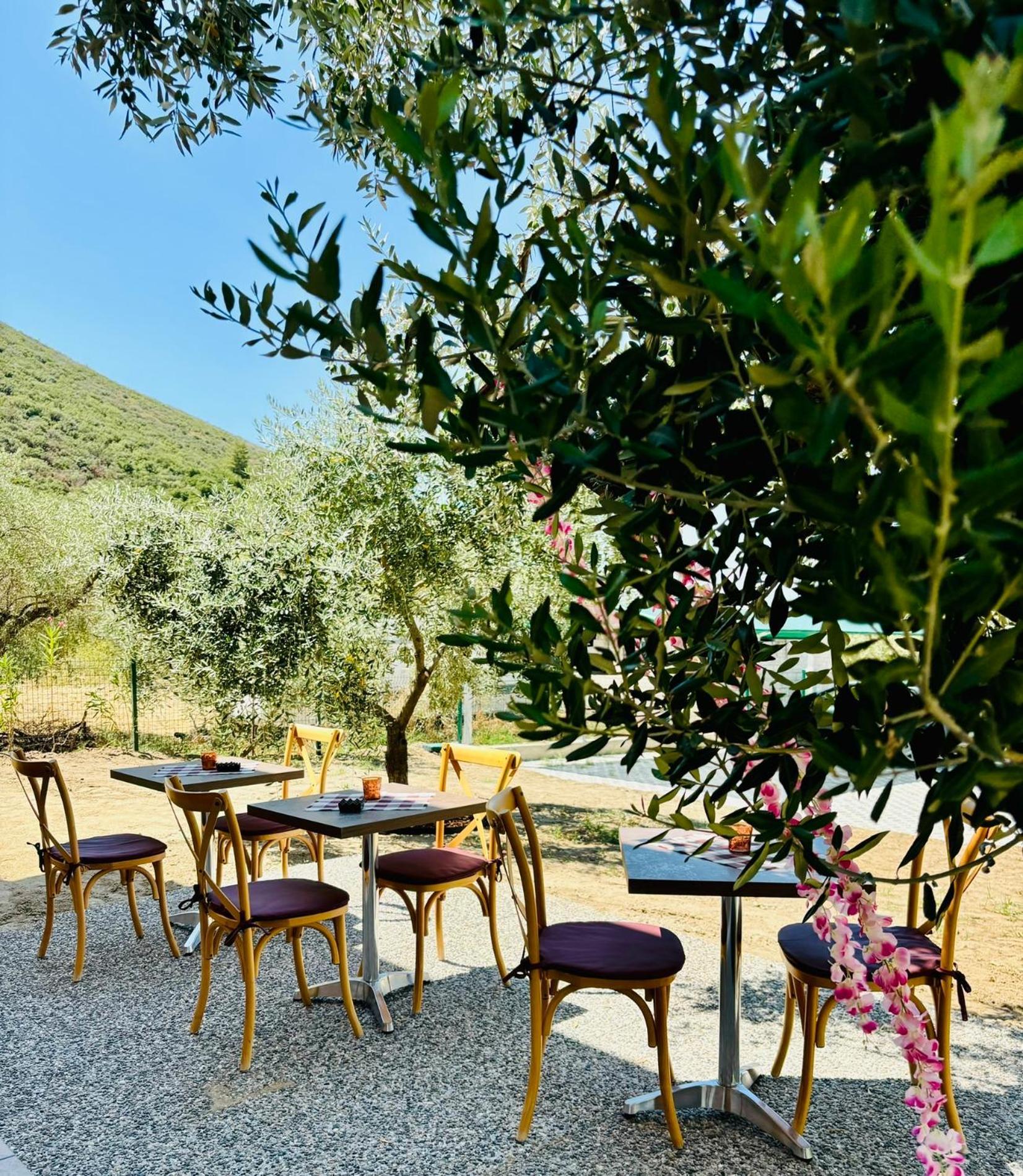 Casa Teresi Thassos Lodge Prinos (Thasos)