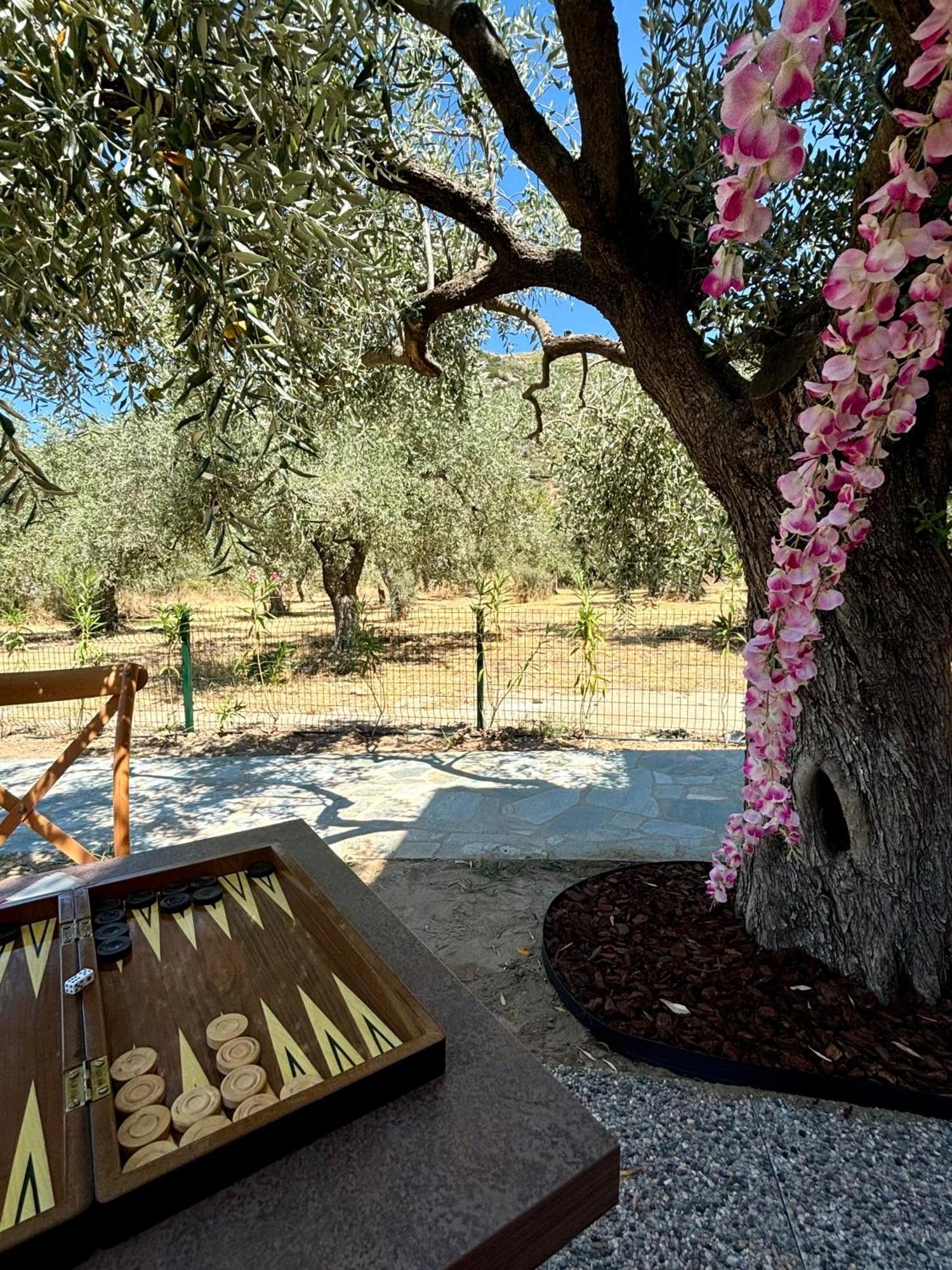 Lodge Casa Teresi Thassos Prinos (Thasos)