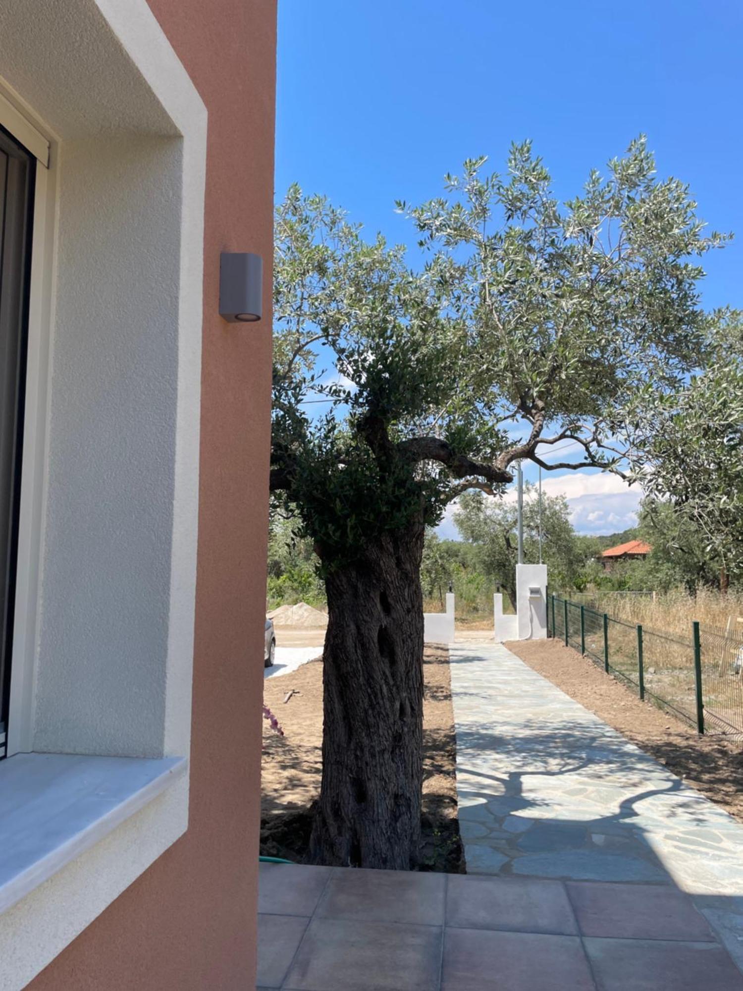 Casa Teresi Thassos Lodge