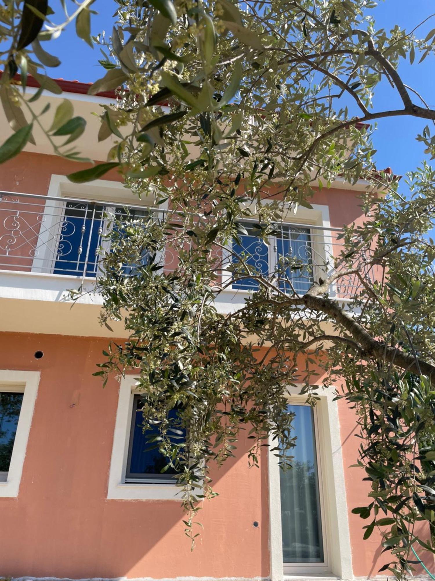 Casa Teresi Thassos Lodge *