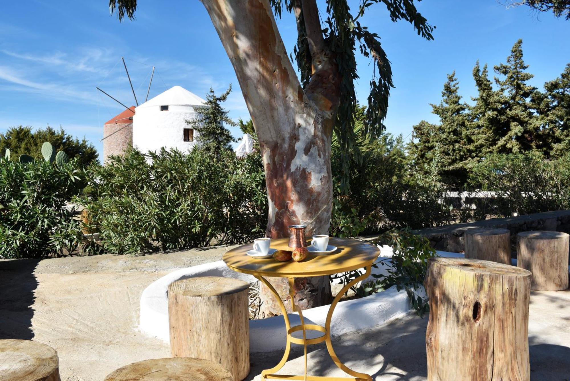 Anastasia's Windmill And Anastasia's *