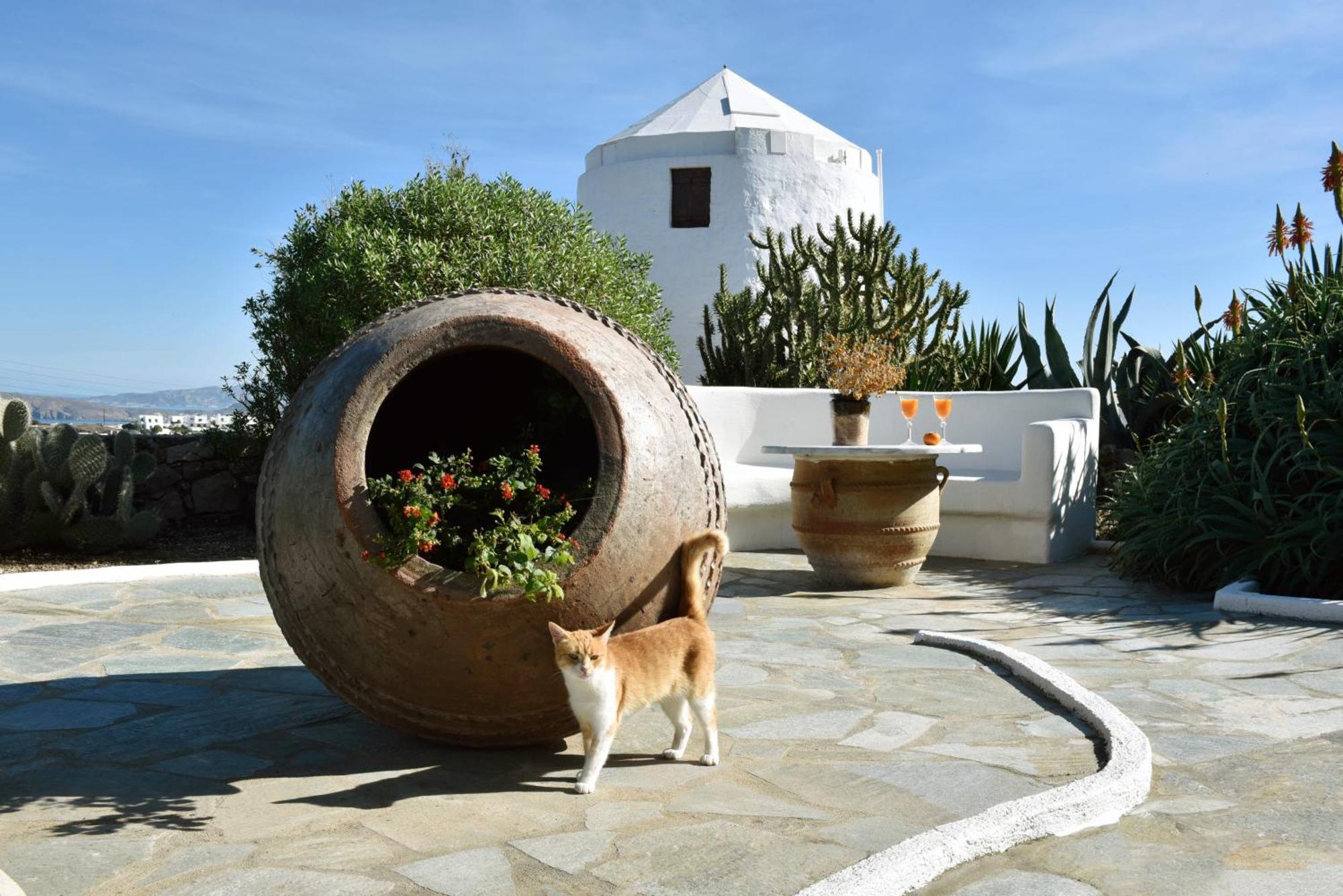 Anastasia's Windmill And Anastasia's Holiday home *