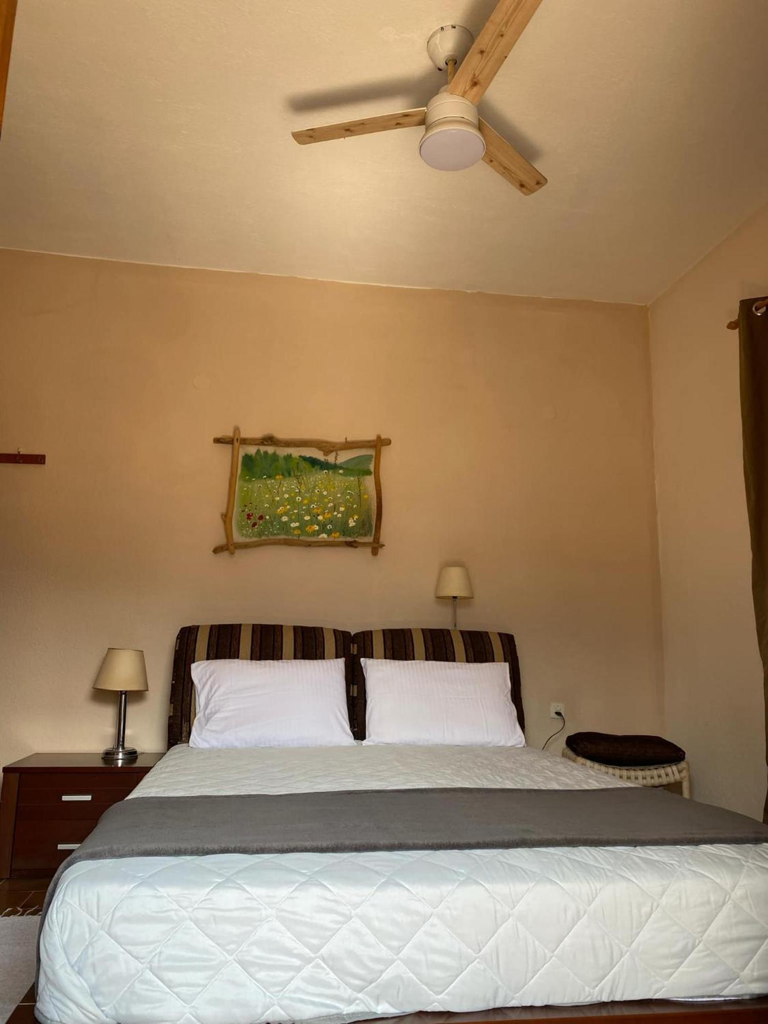 The Koutsoupia Holiday home *