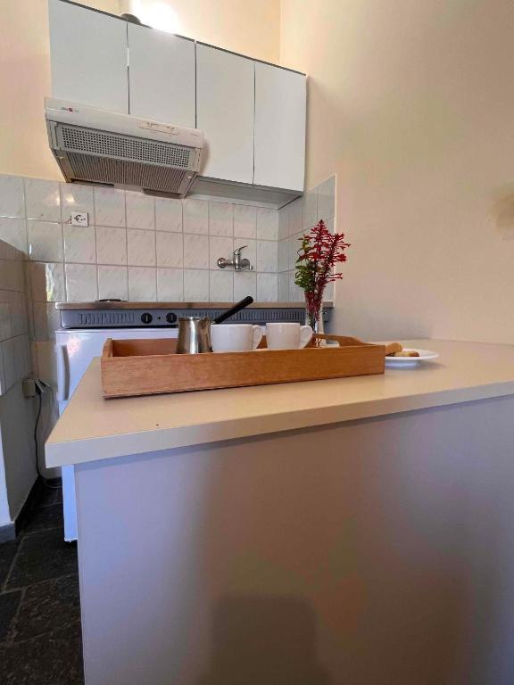 Apartment Kastro Aggeliki