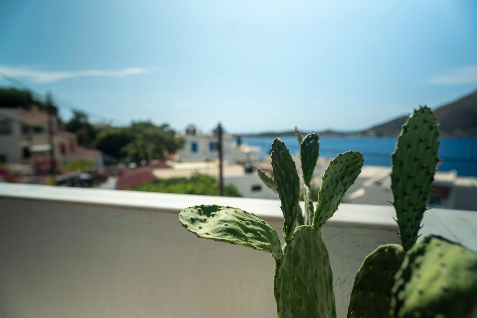 Manifesto I Kalymnos Town