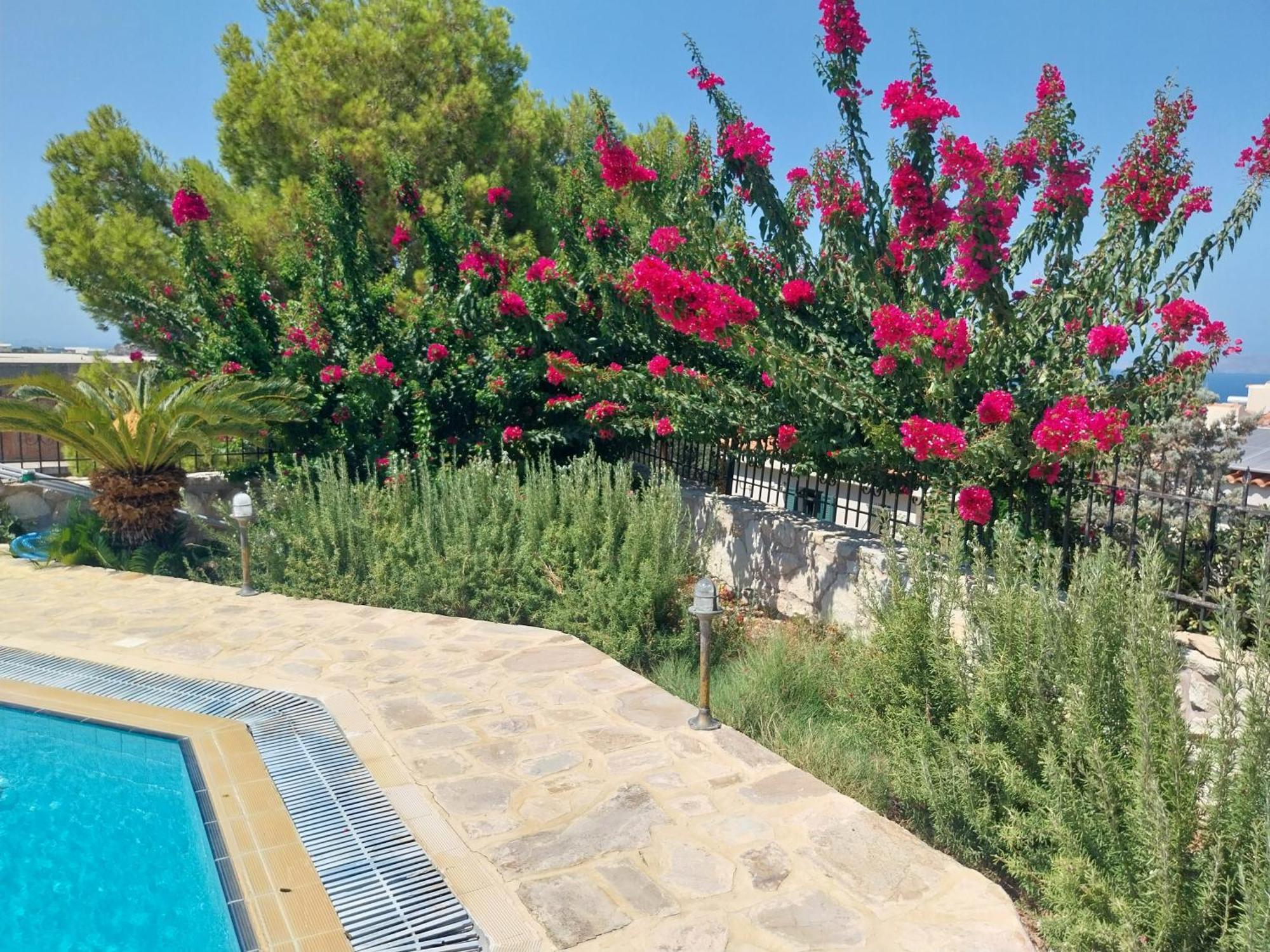 Villa The Three Graces