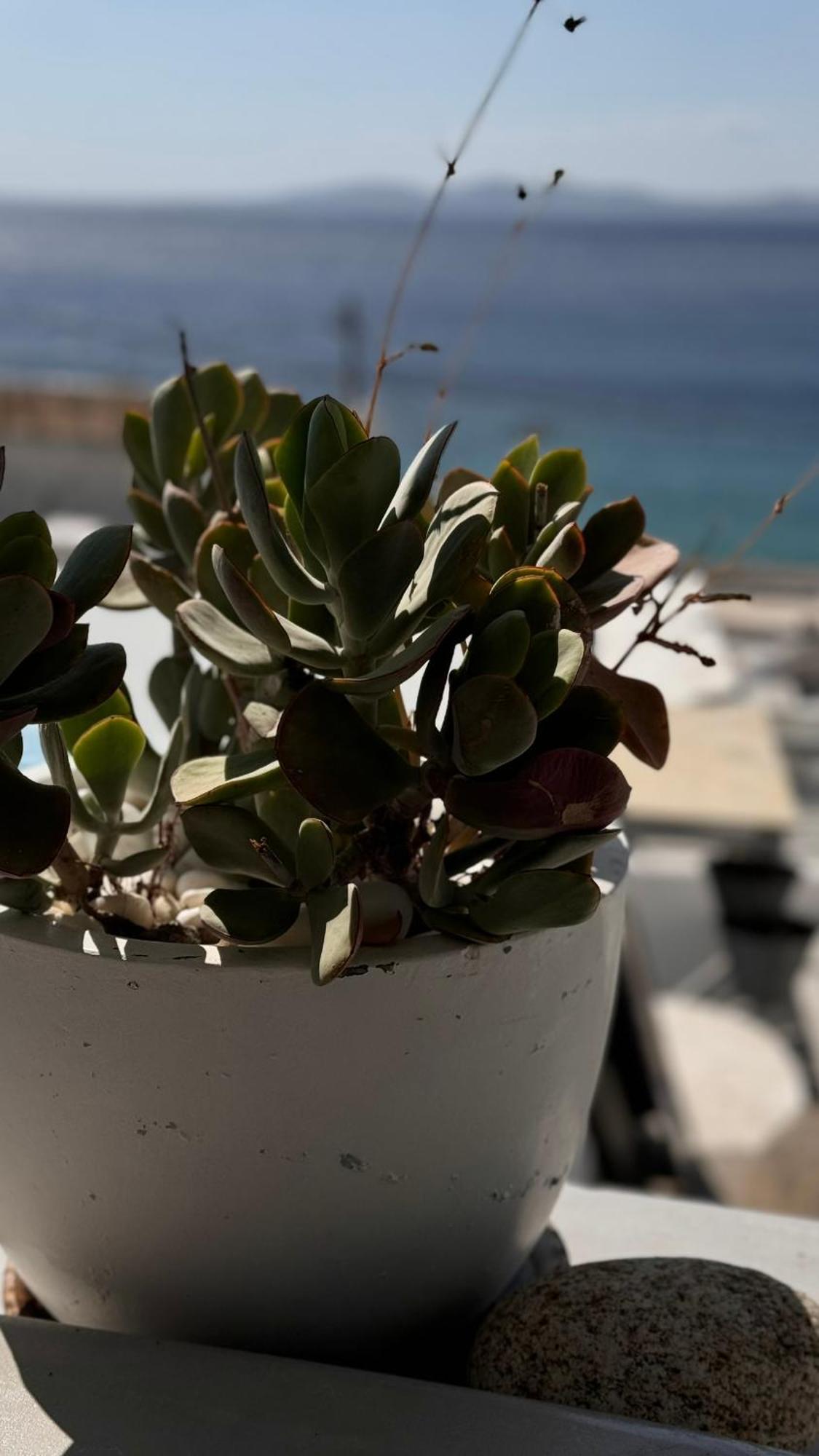 Mykonos Seaview Nests - Getaways *