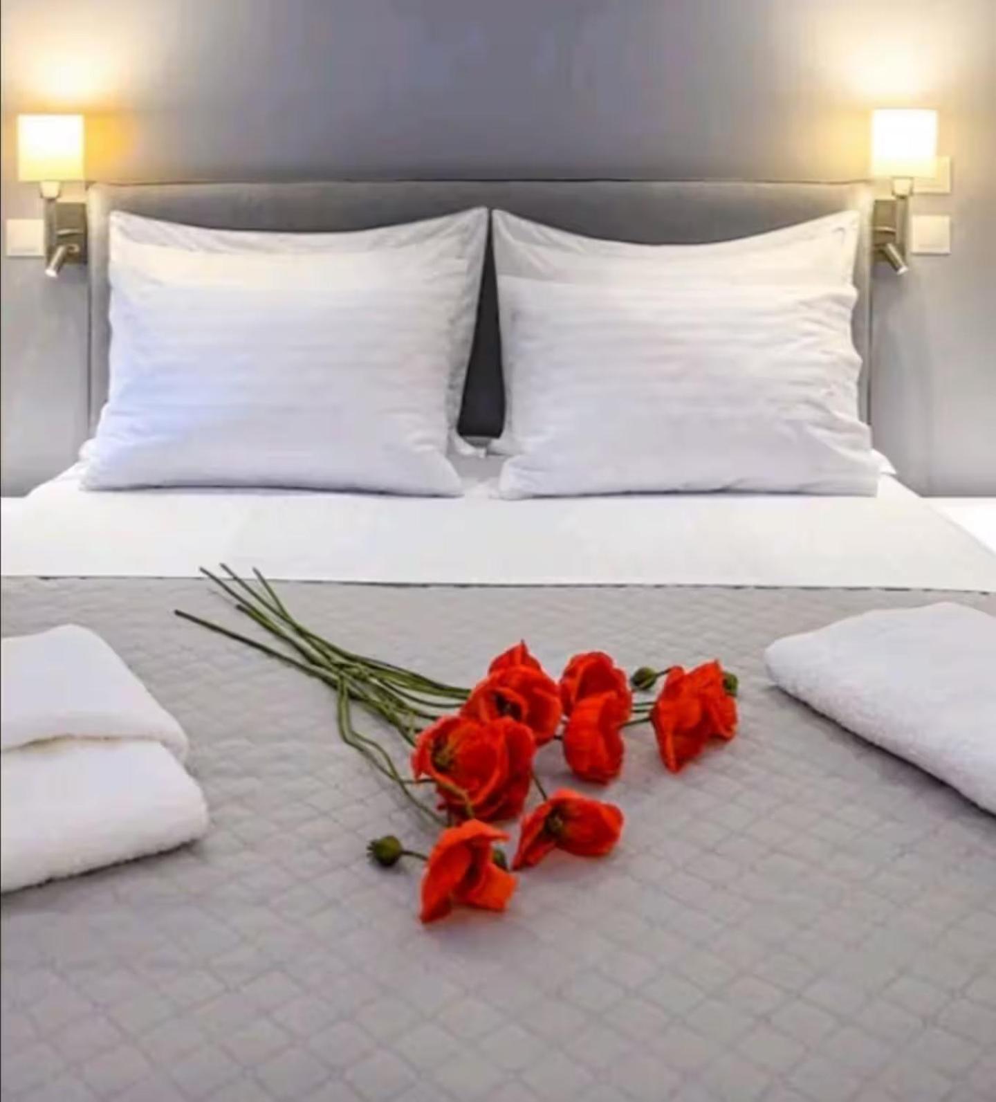 Central-opulent And Luxurious Suites-balcony & Views Acropolis Hills * Athens