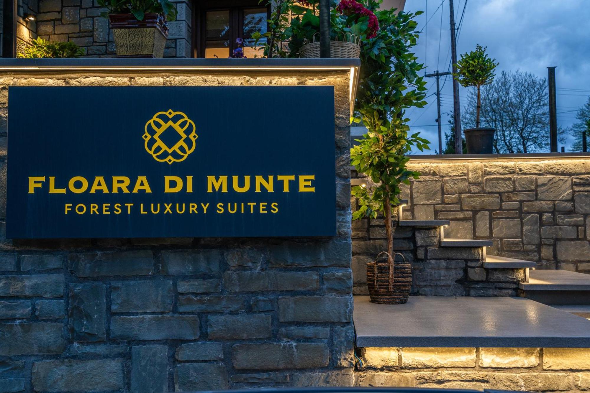 Floara Di Munte Forest Luxury * Metsovo