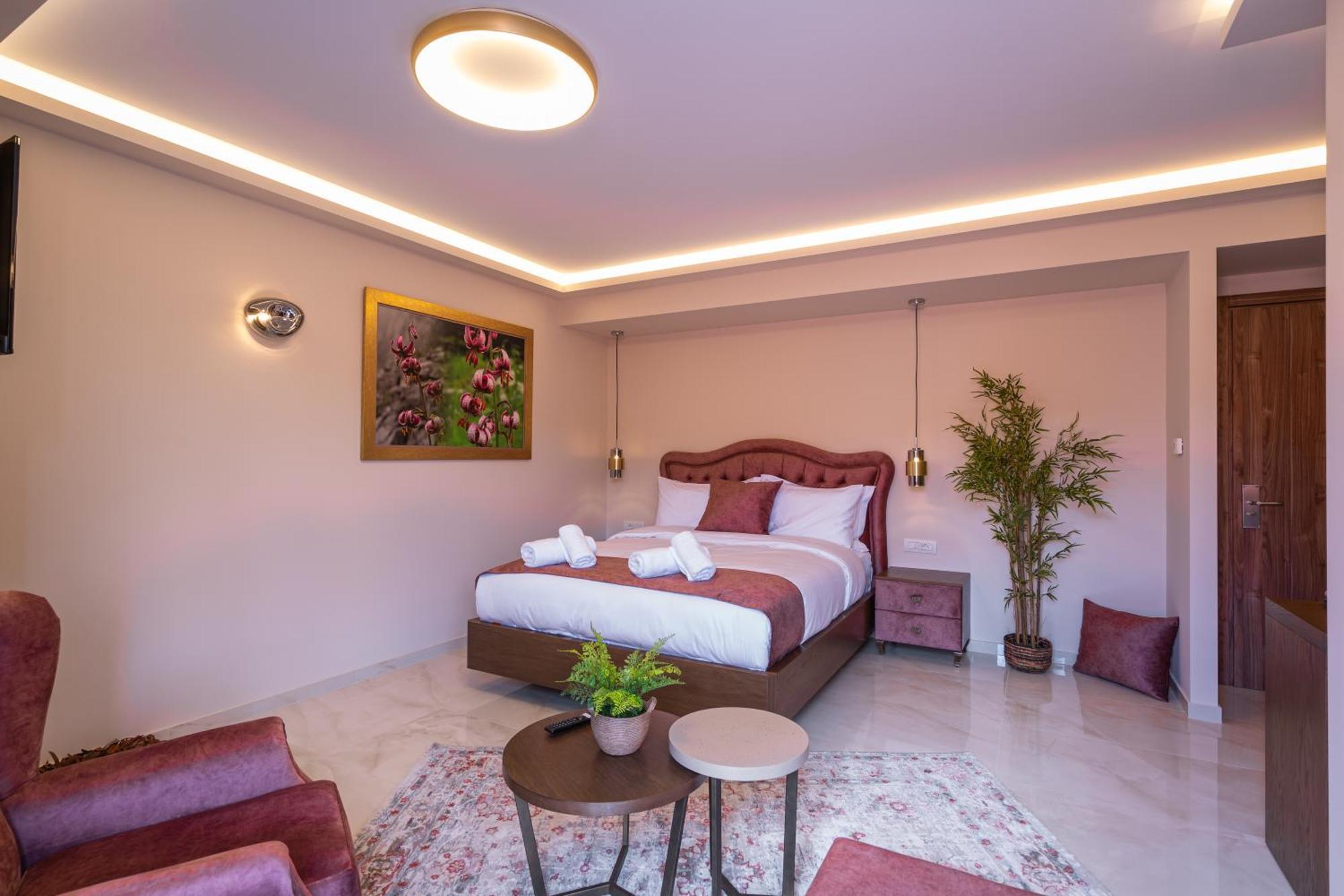 Floara Di Munte Forest Luxury * Metsovo