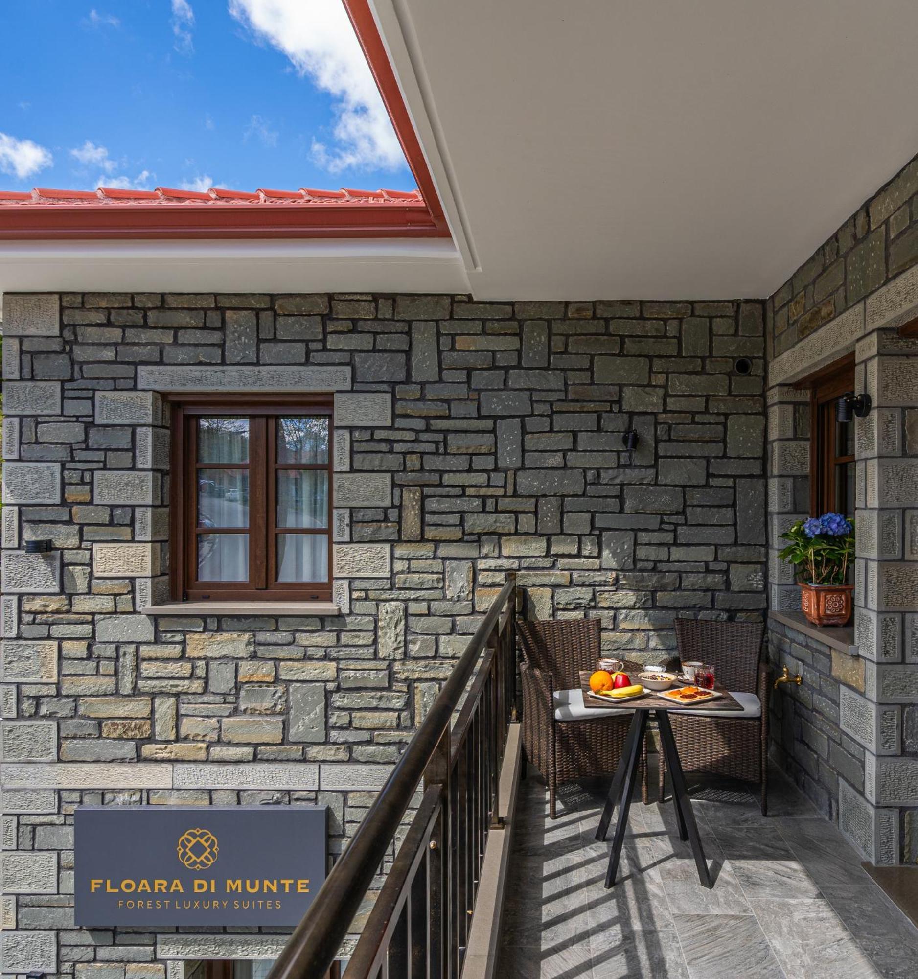Aparthotel Floara Di Munte Forest Luxury Metsovo