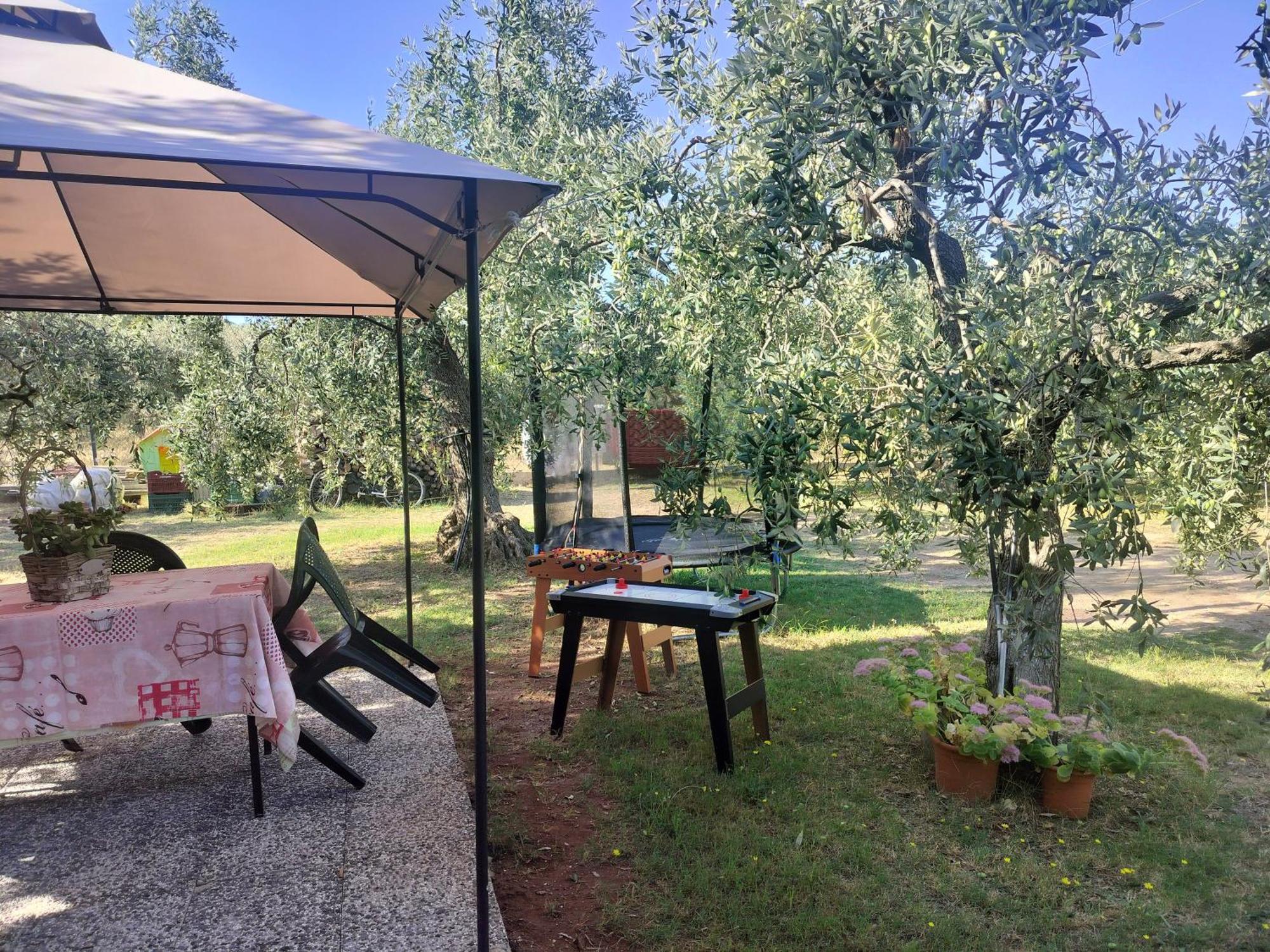 Olive's House Holiday home Skala Rachoni (Thasos)